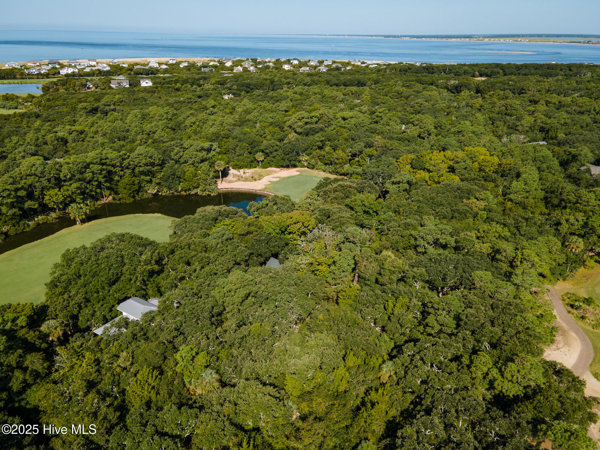 100527556 | Photo 10