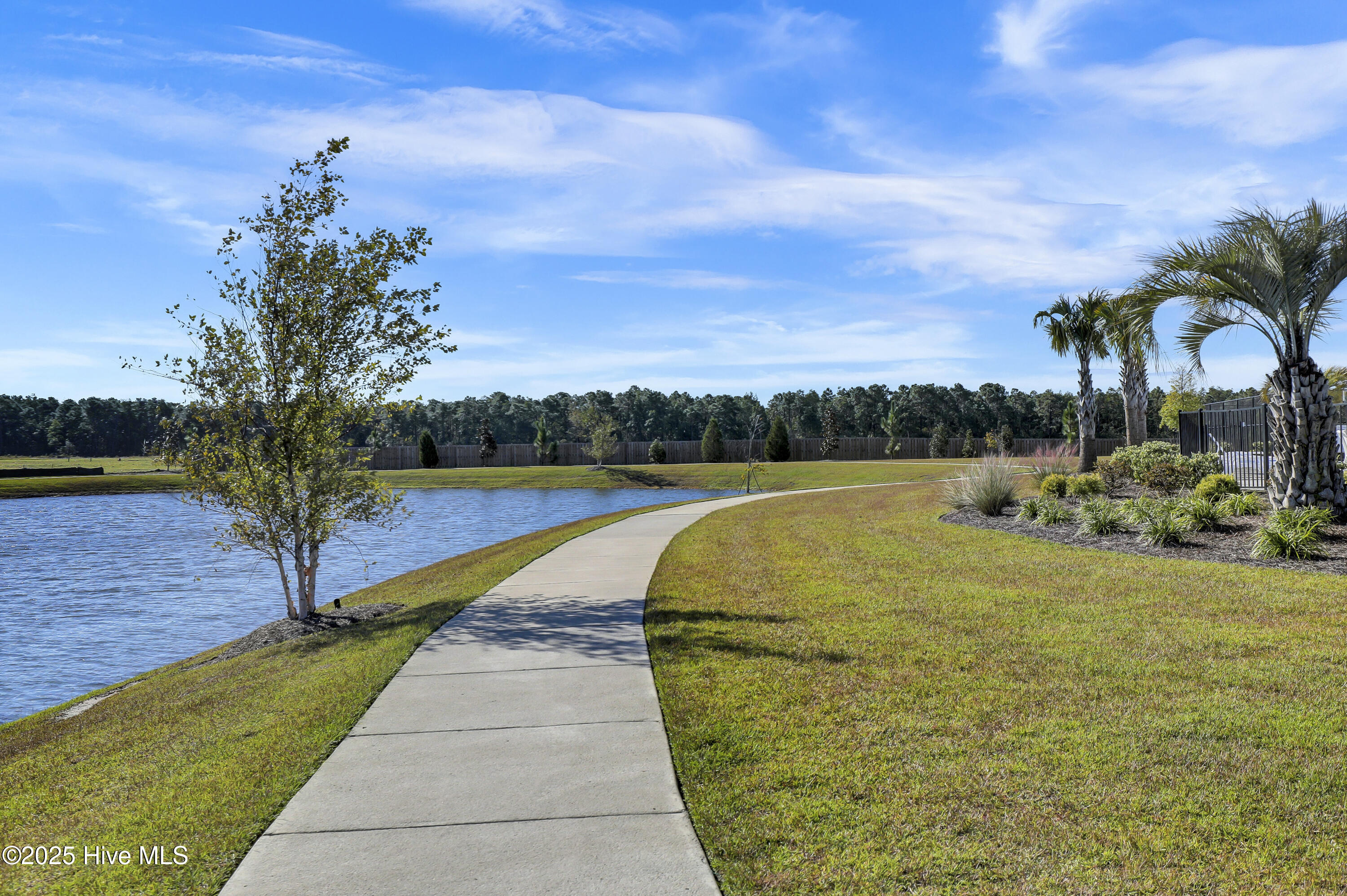 100536874 | Photo 37