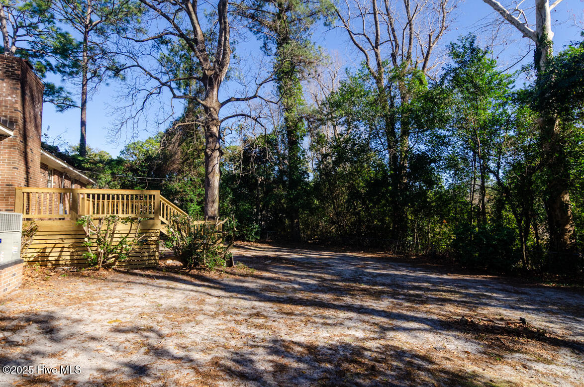 100515505 | Photo 26