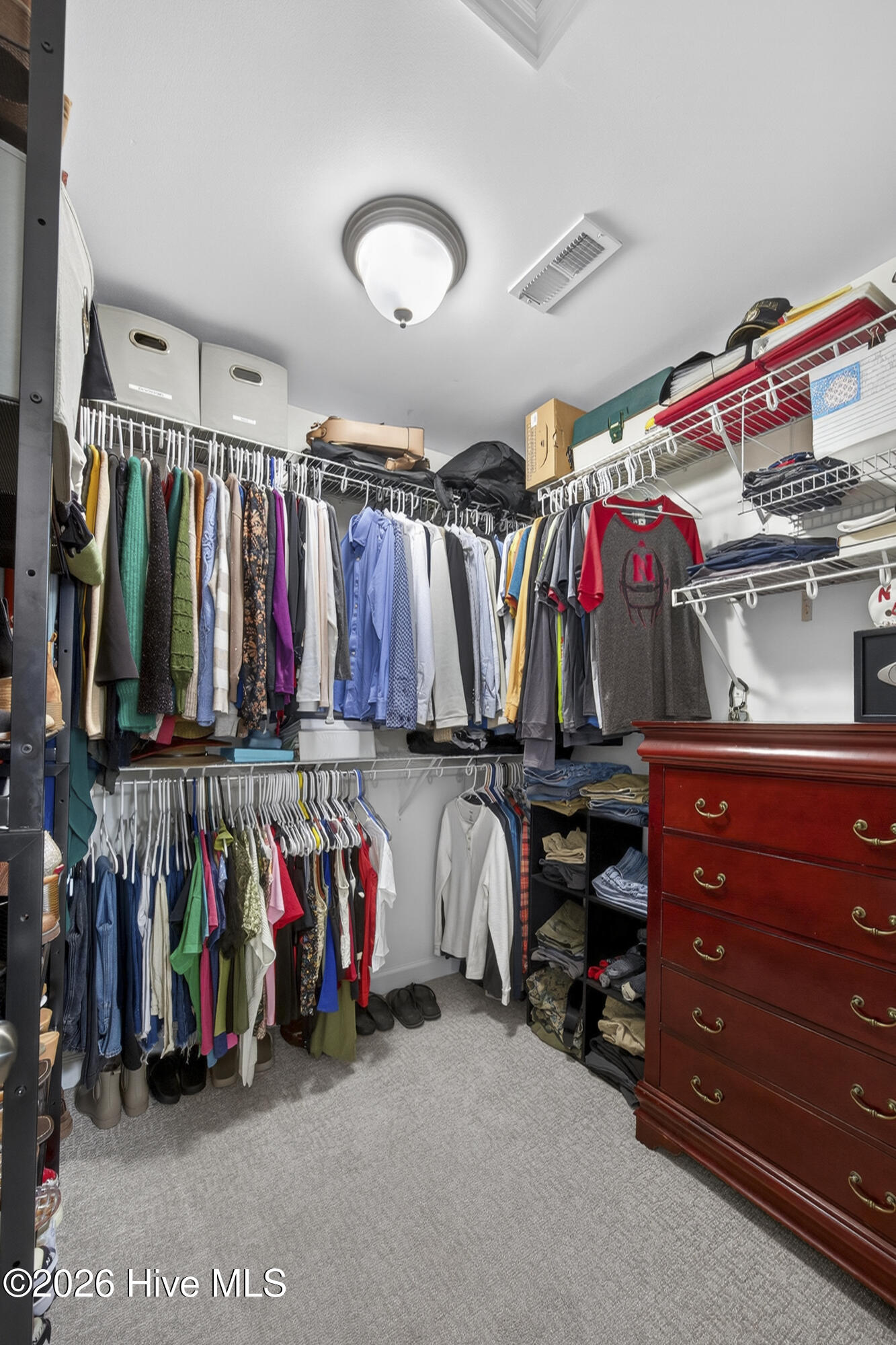 100565225 | Photo 50