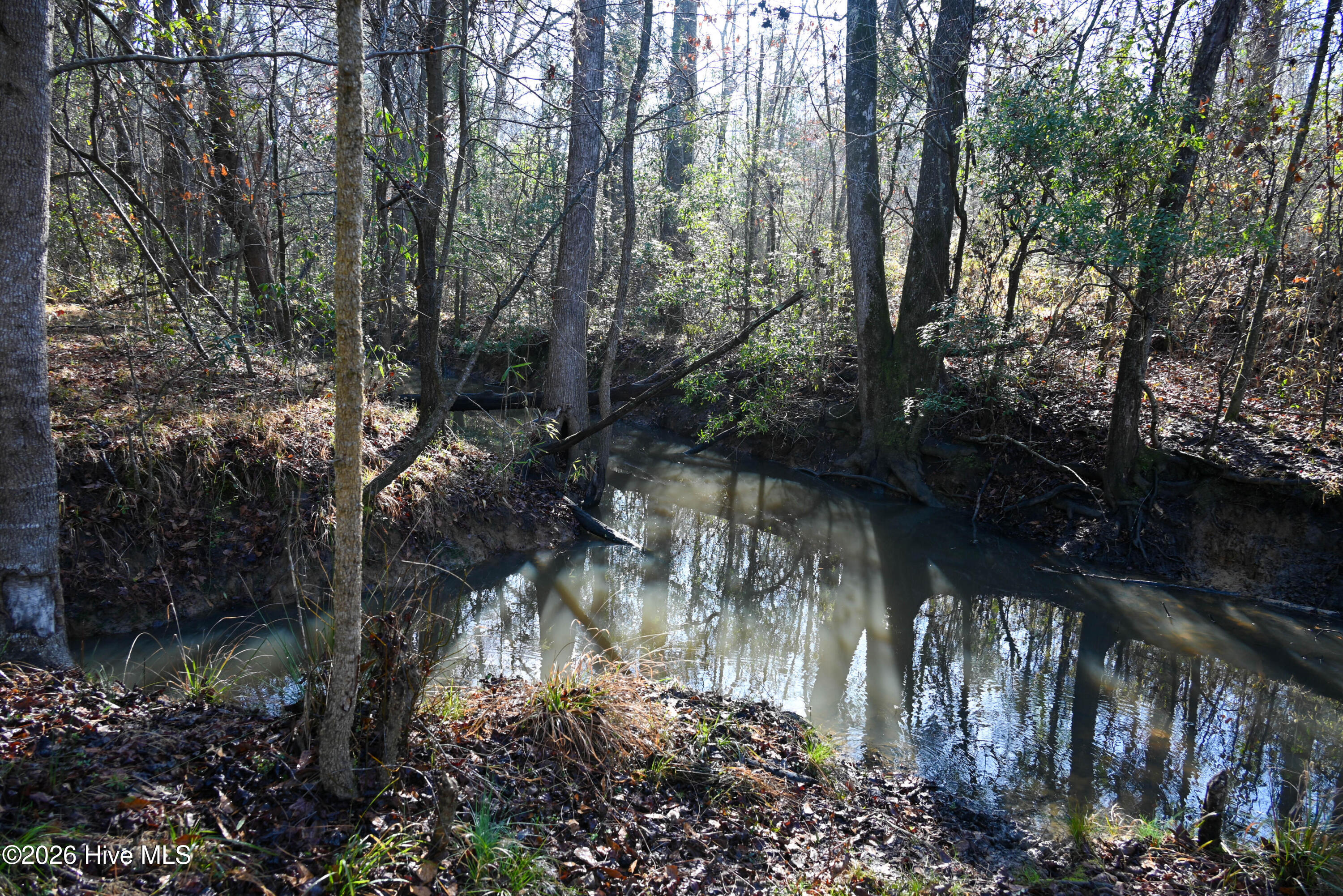 100560038 | Photo 25