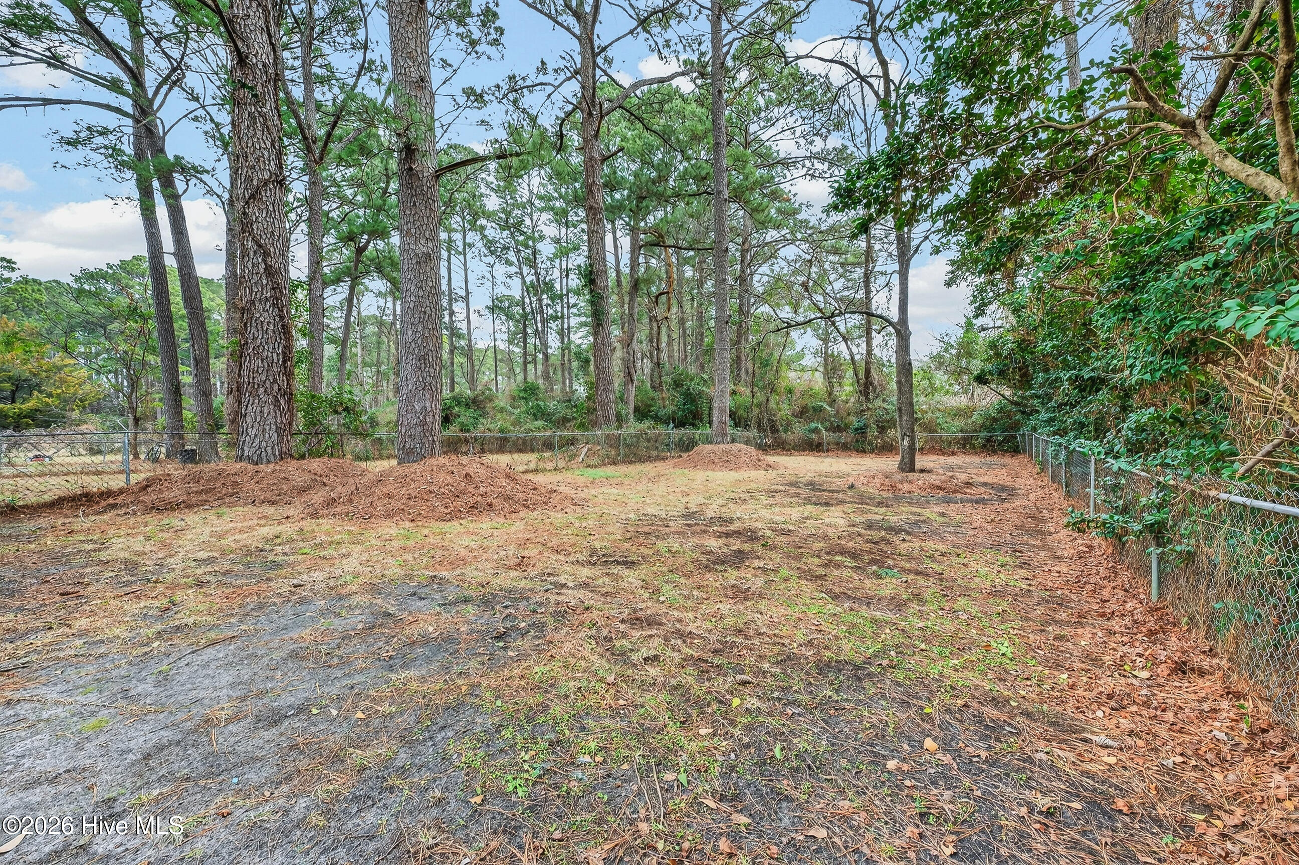 100555827 | Photo 25