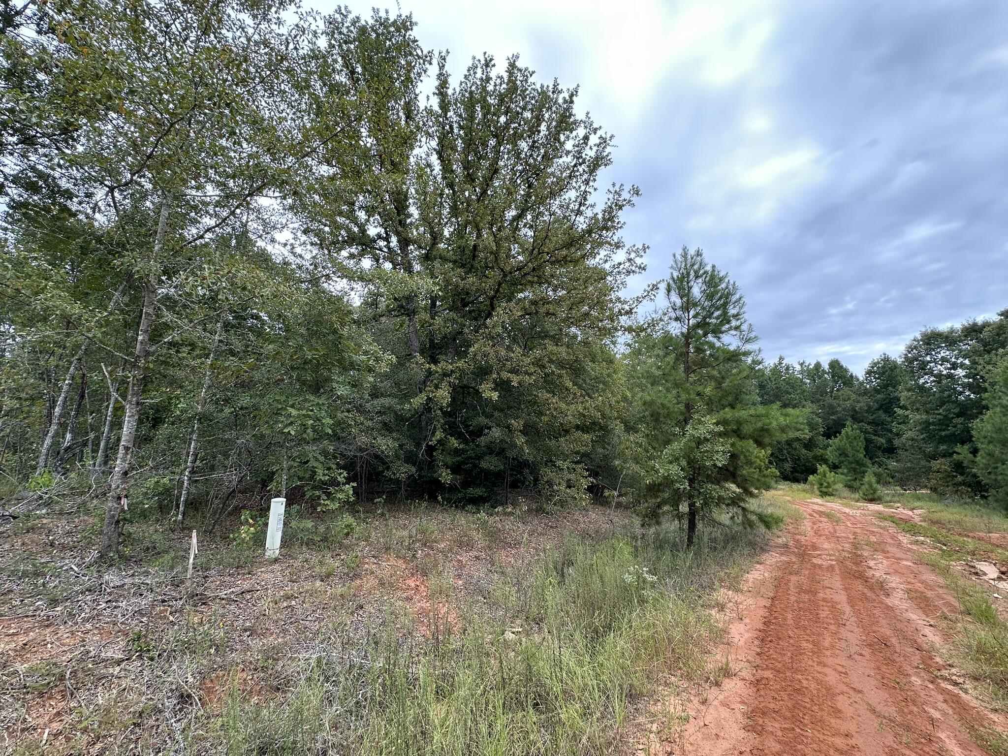 Homes for sale in Louisville, GA | 0-36 Nelson Ct, Louisville, GA 30434 | MLS# 533736