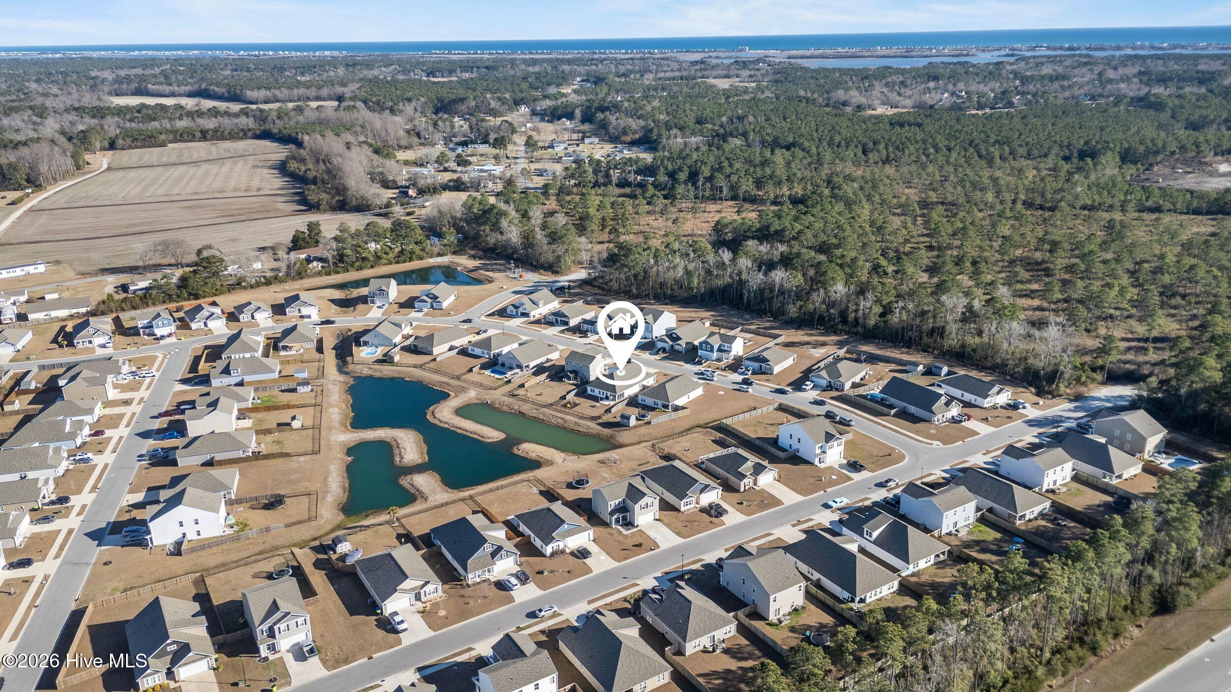 100550214 | Photo 42