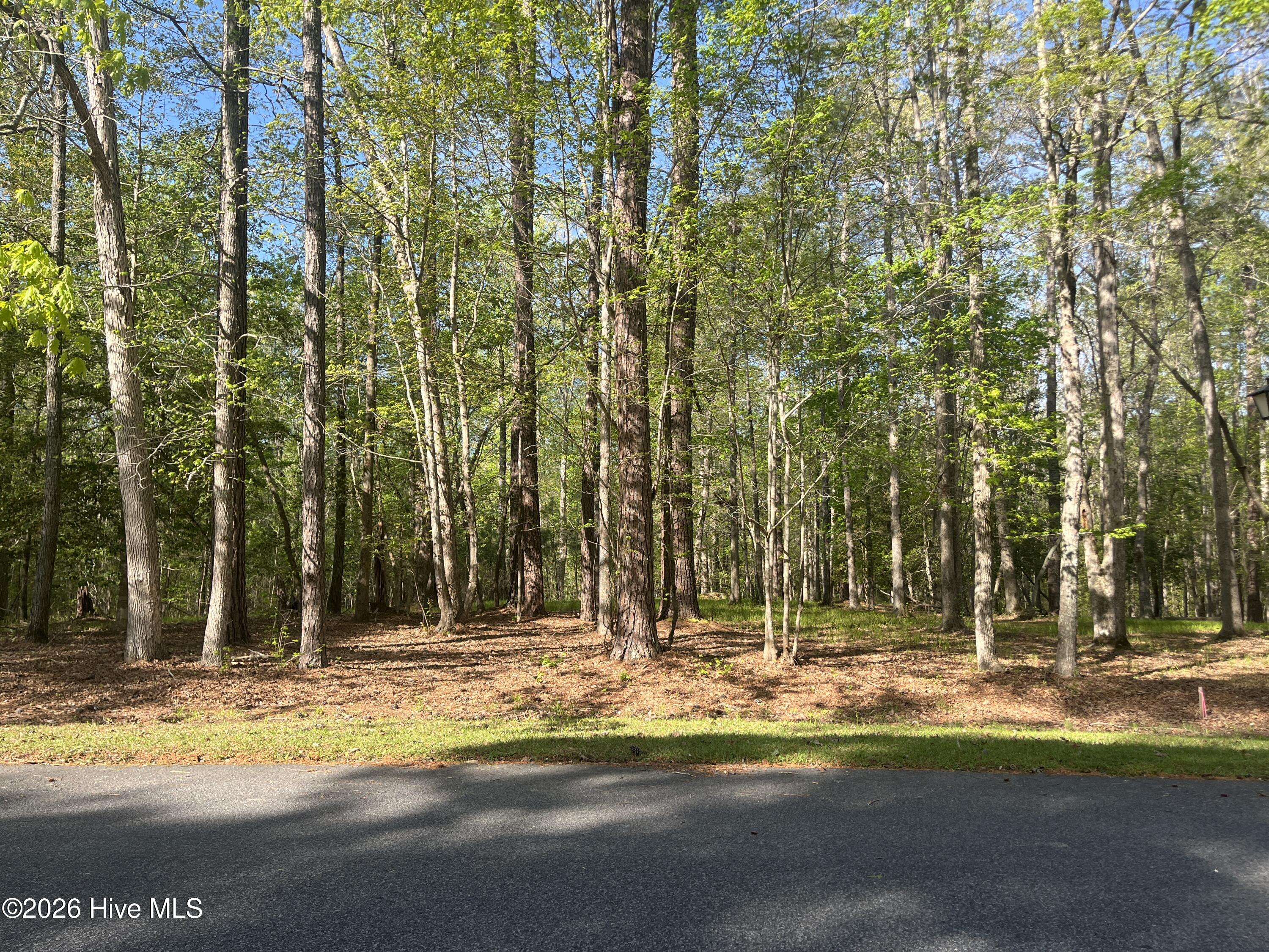 0 Island Drive, Chocowinity, NC, 27817