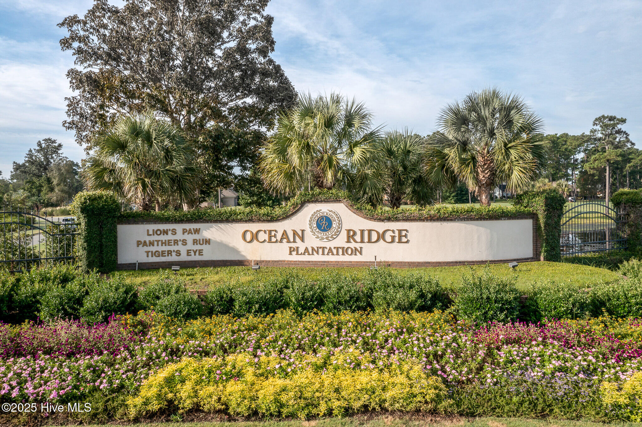 100528098 | Photo 50