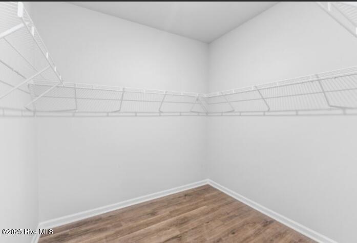 100524173 | Photo 13