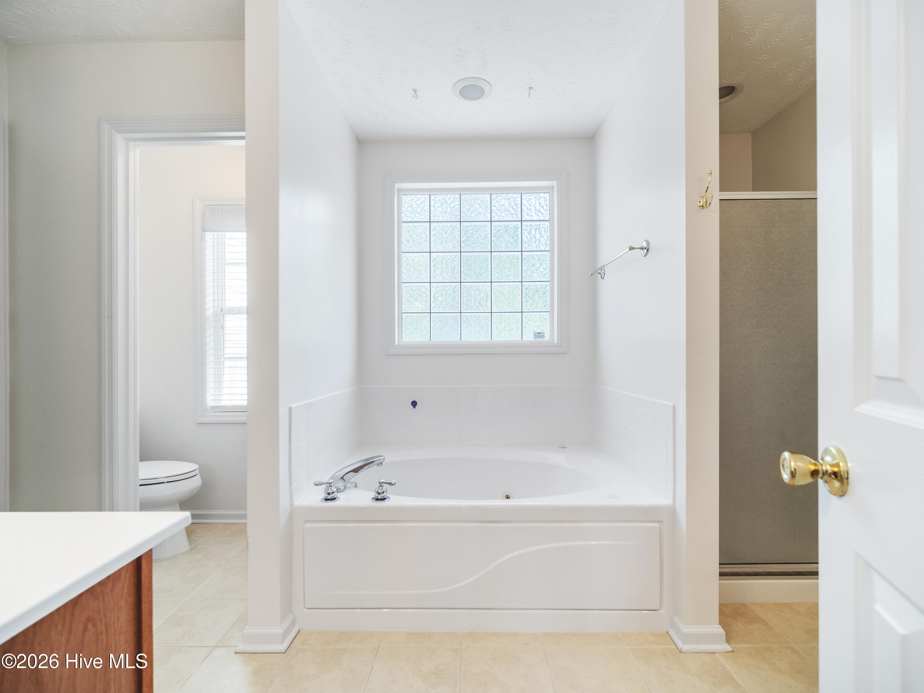 100570640 | Photo 34