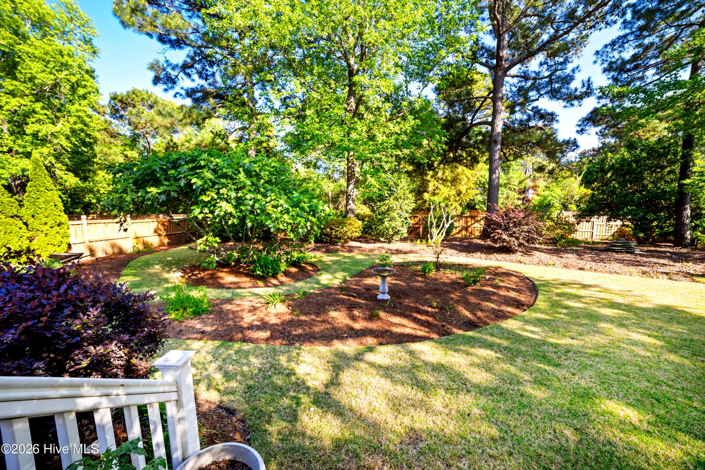 100567457 | Photo 24