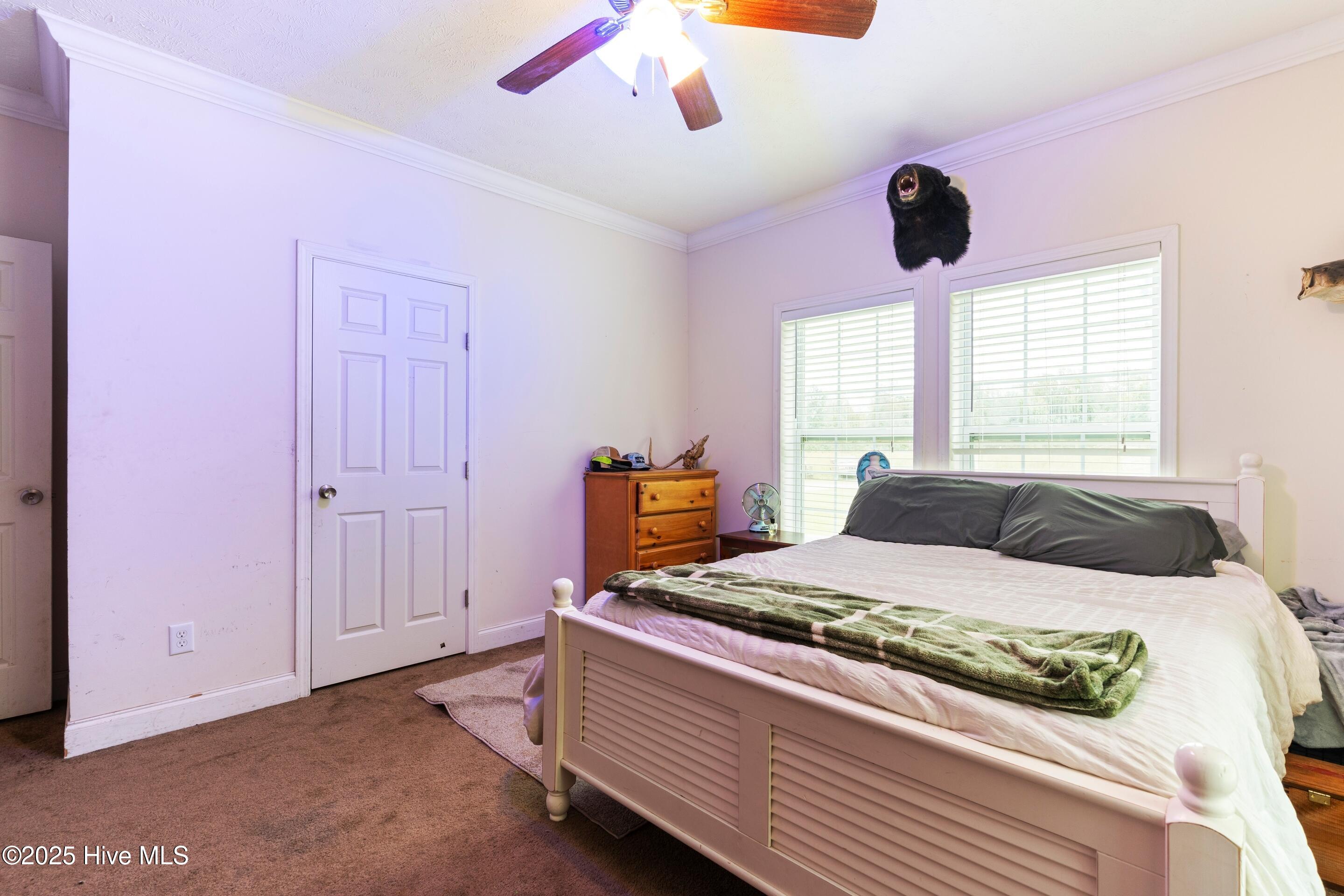 100537388 | Photo 41