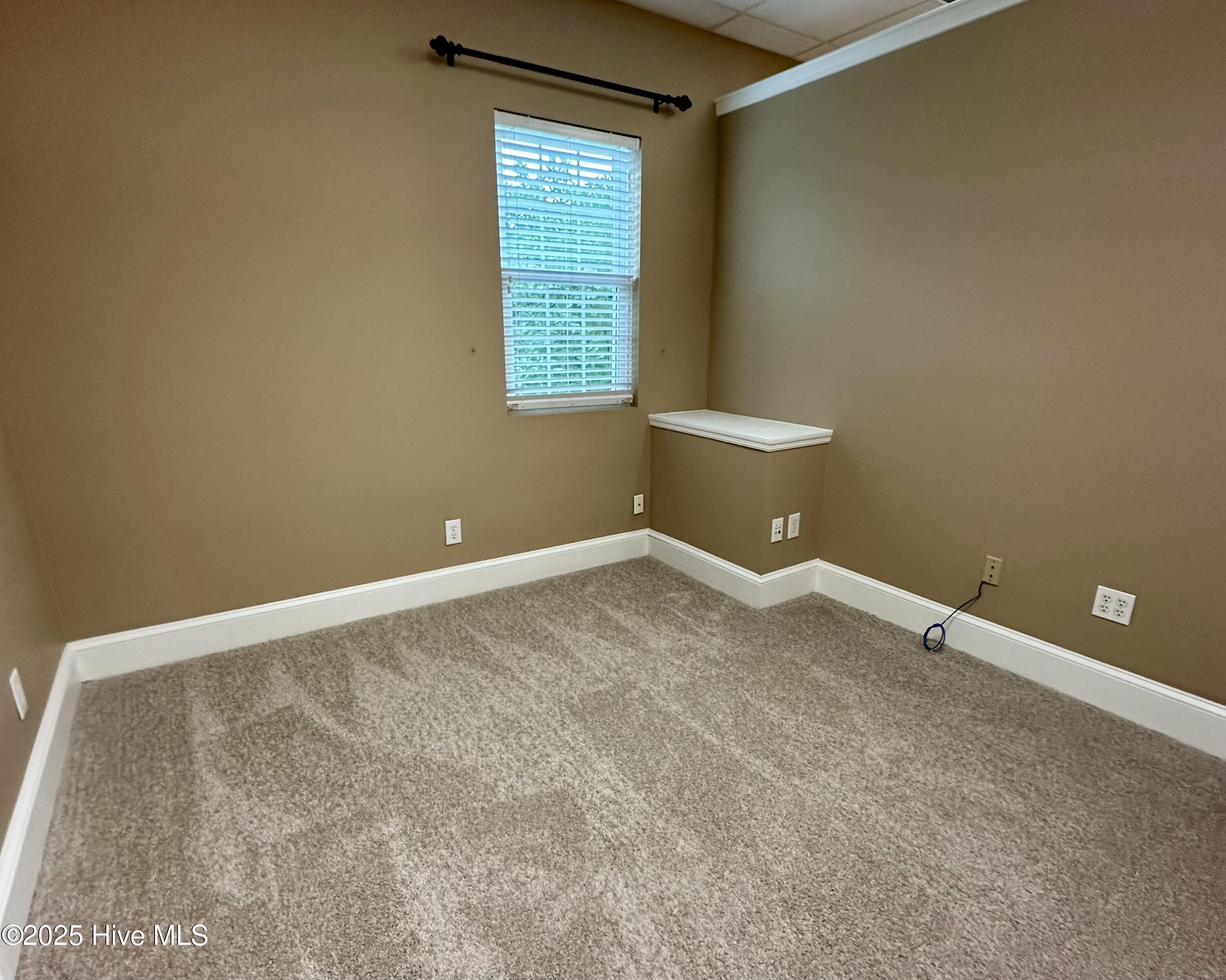 100516954 | Photo 16