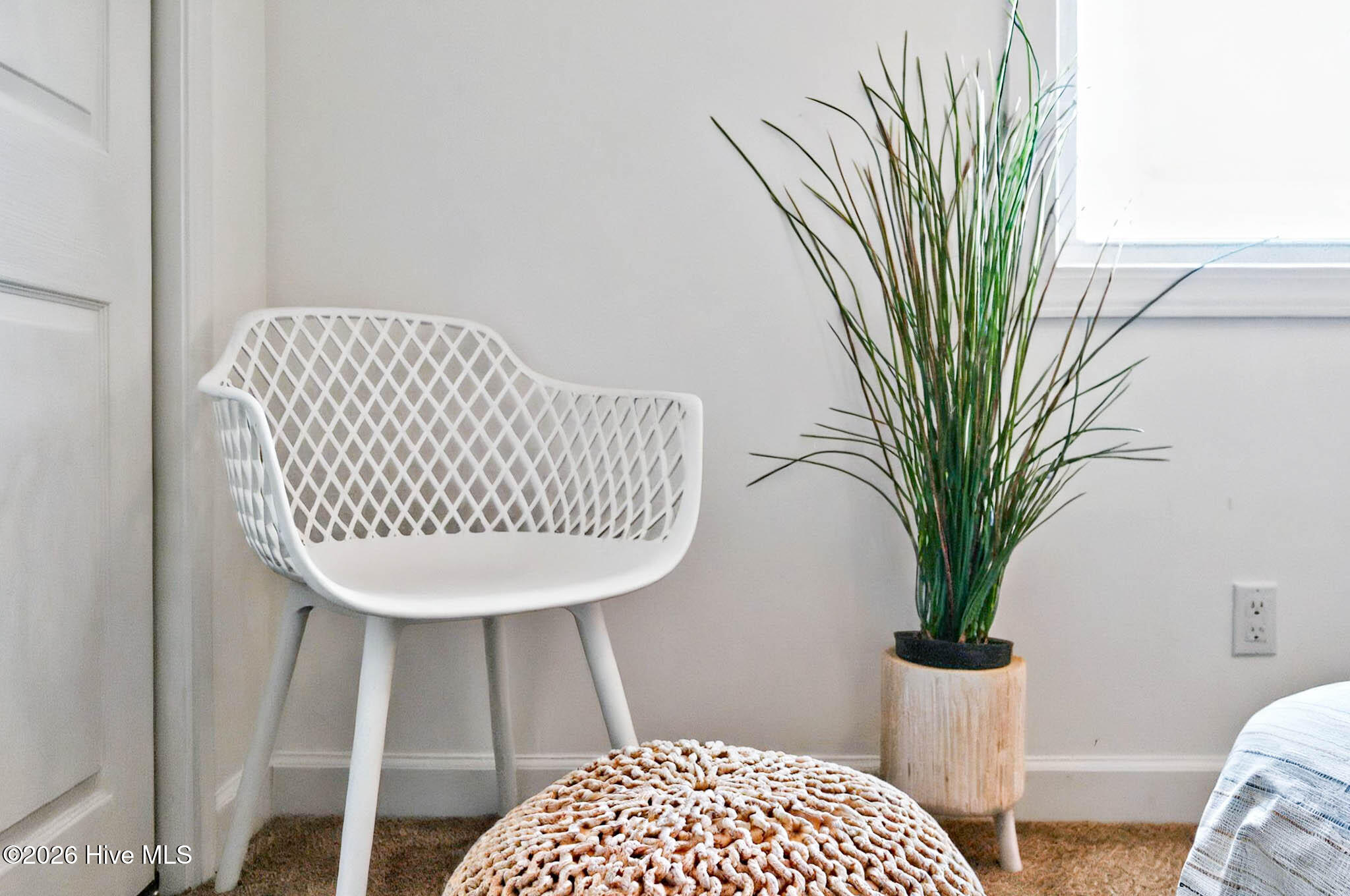 100556049 | Photo 59