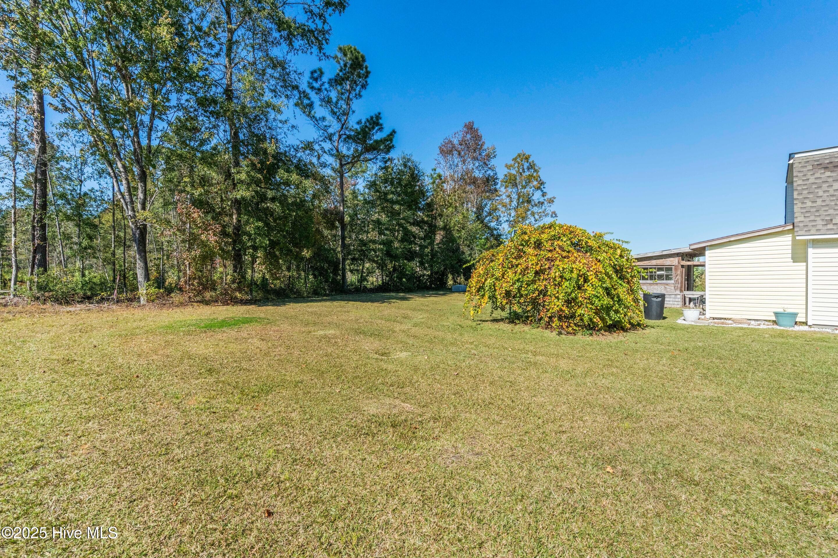 100563902 | Photo 25