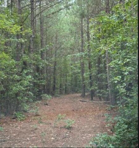 Screenshot 2025-08-19 091723