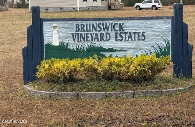 100545423 | Photo 17