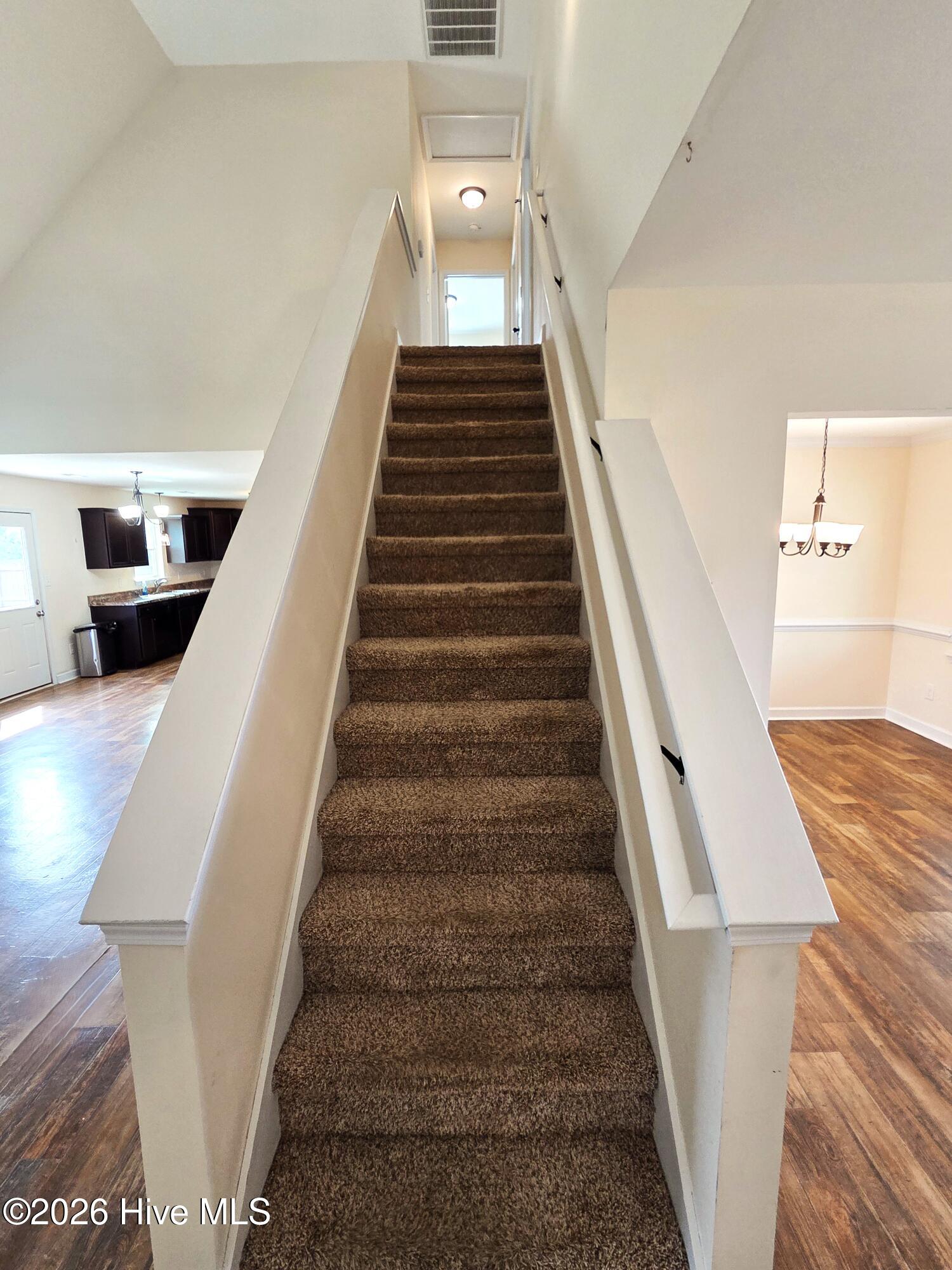 100527843 | Photo 42