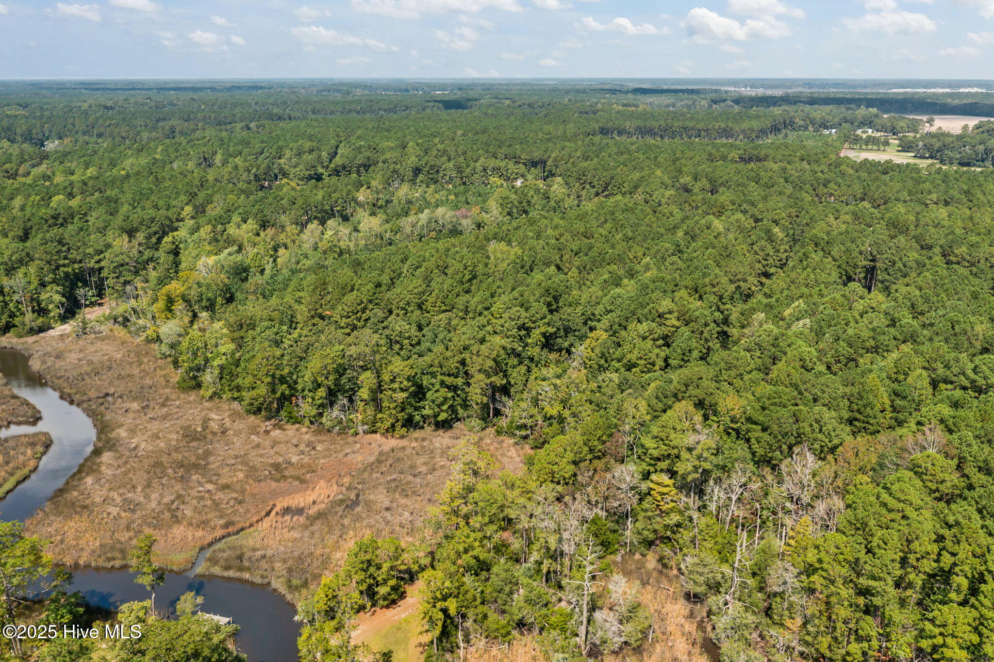 100535245 | Photo 13