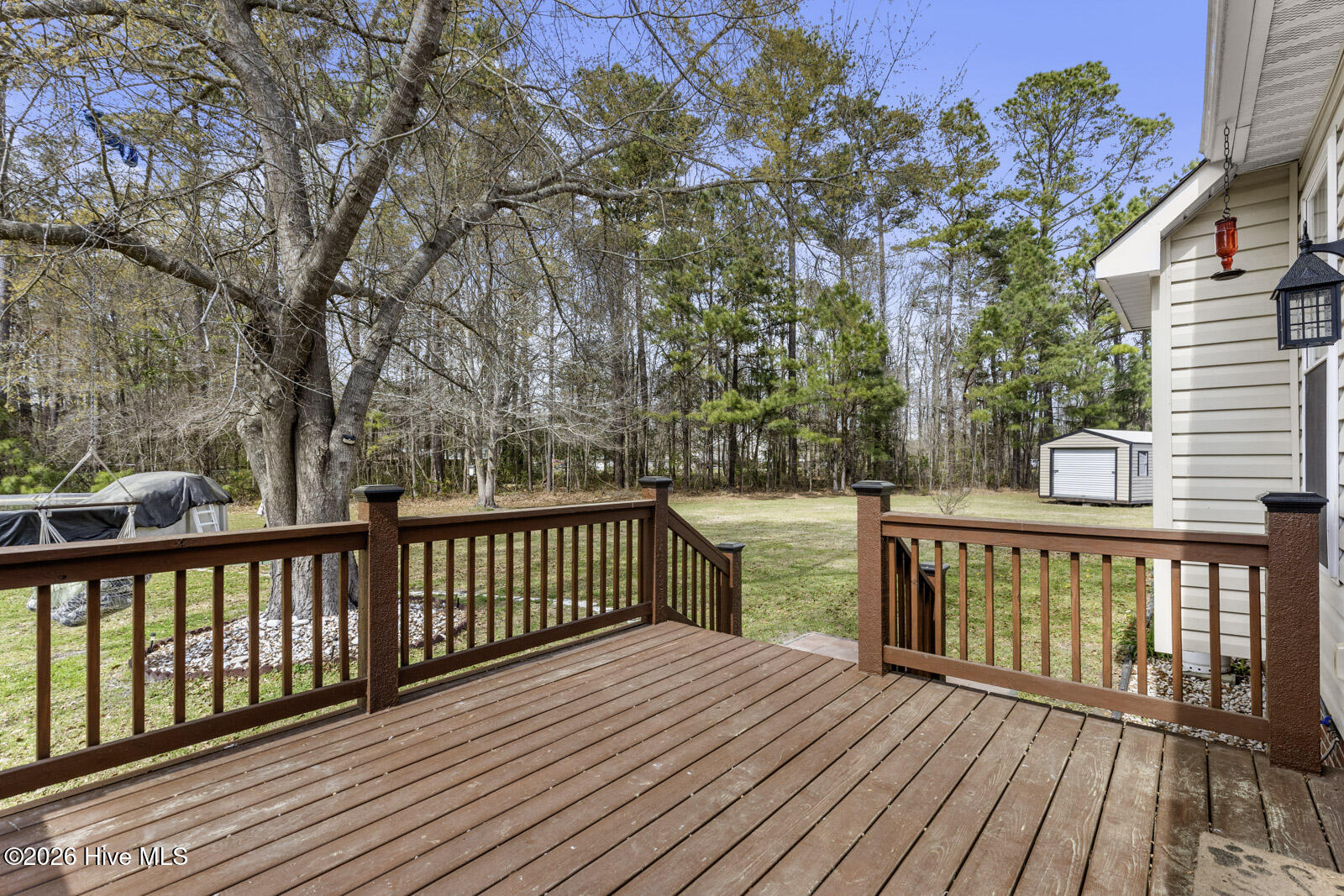 100563110 | Photo 46