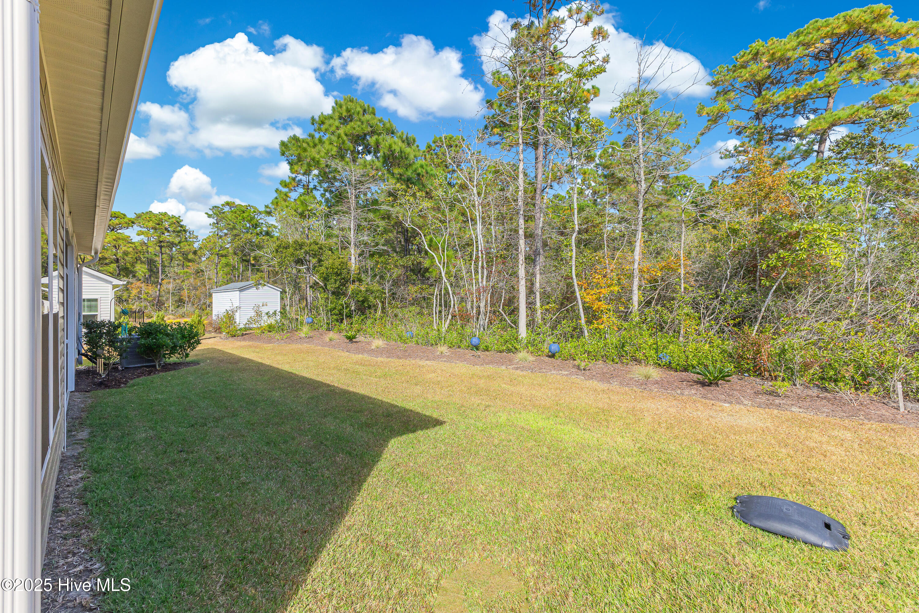 100542880 | Photo 38