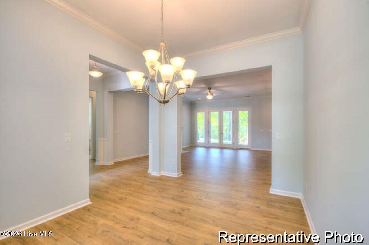 100563715 | Photo 10