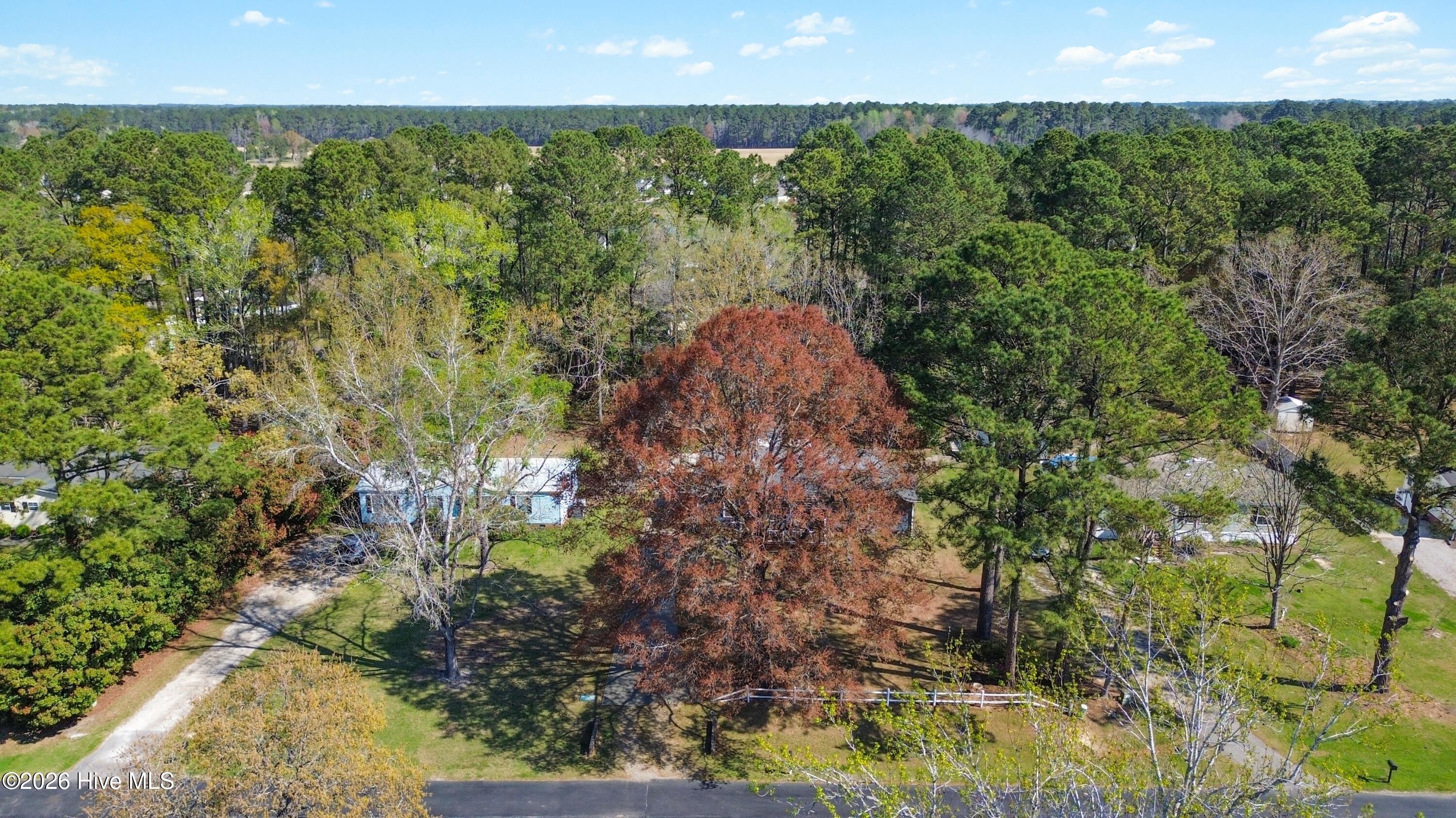 100562526 | Photo 17