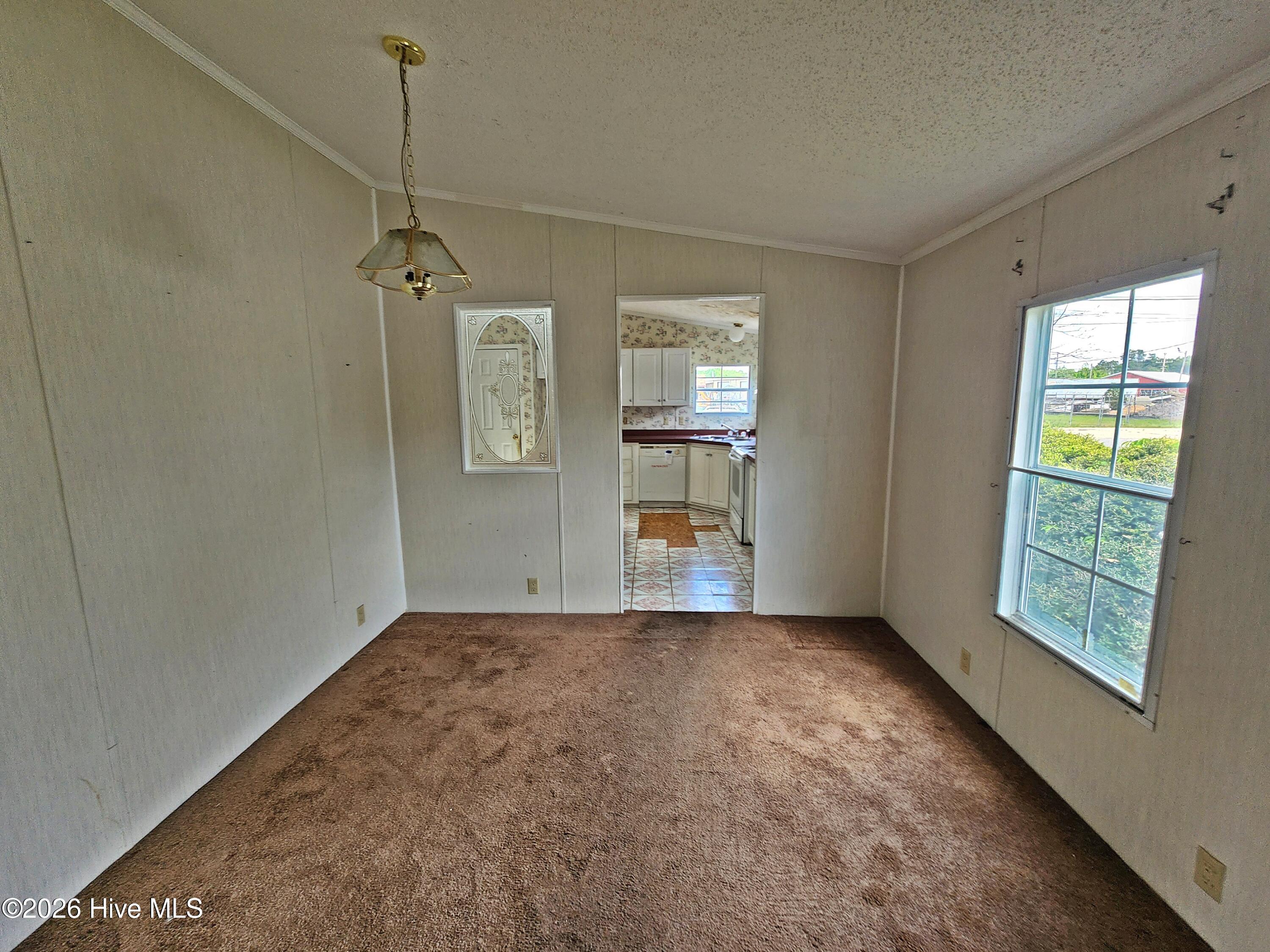 100566960 | Photo 17