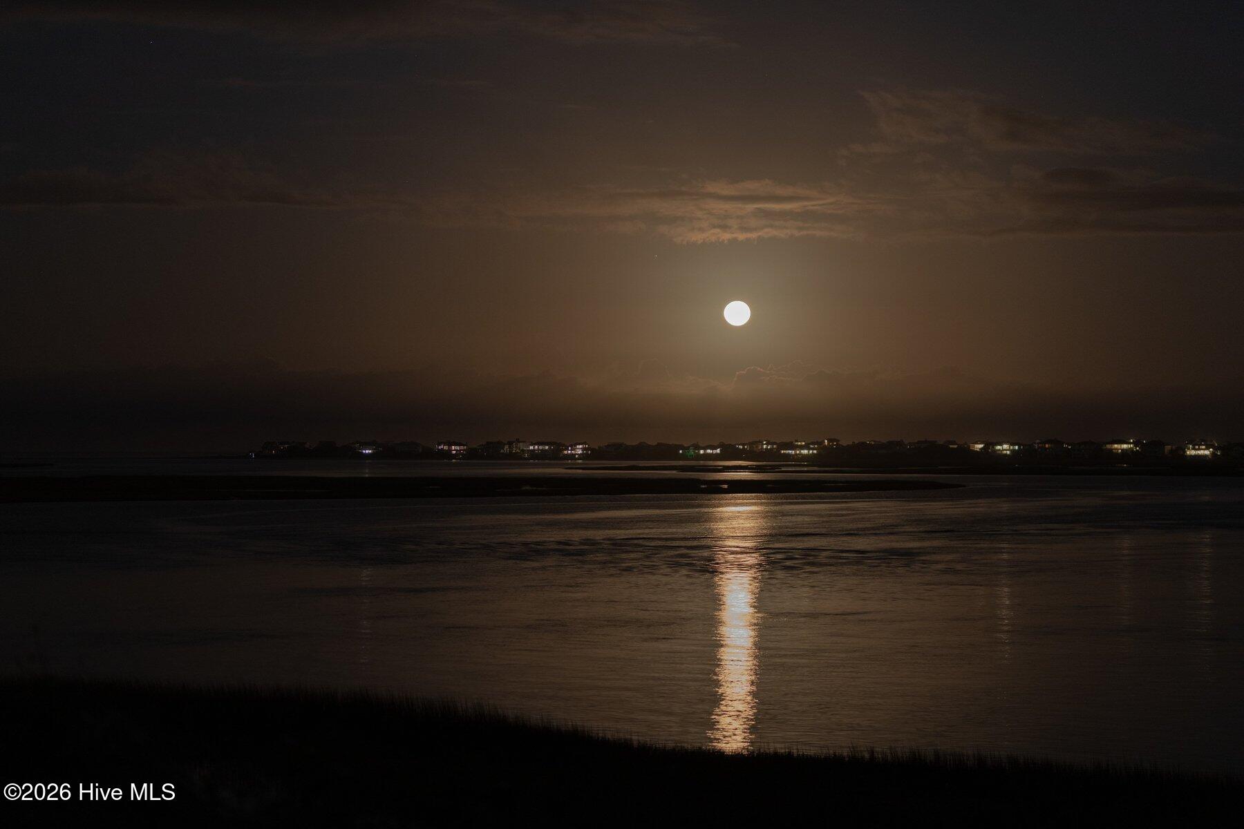 100564910 | Photo 21