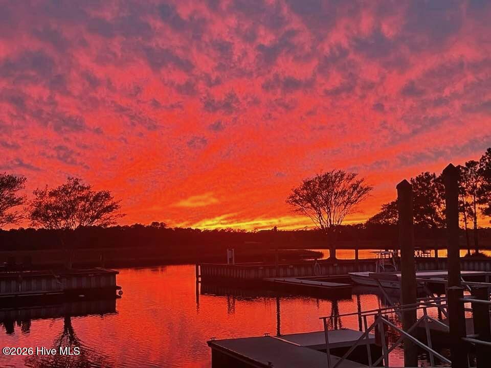 100554339 | Photo 28