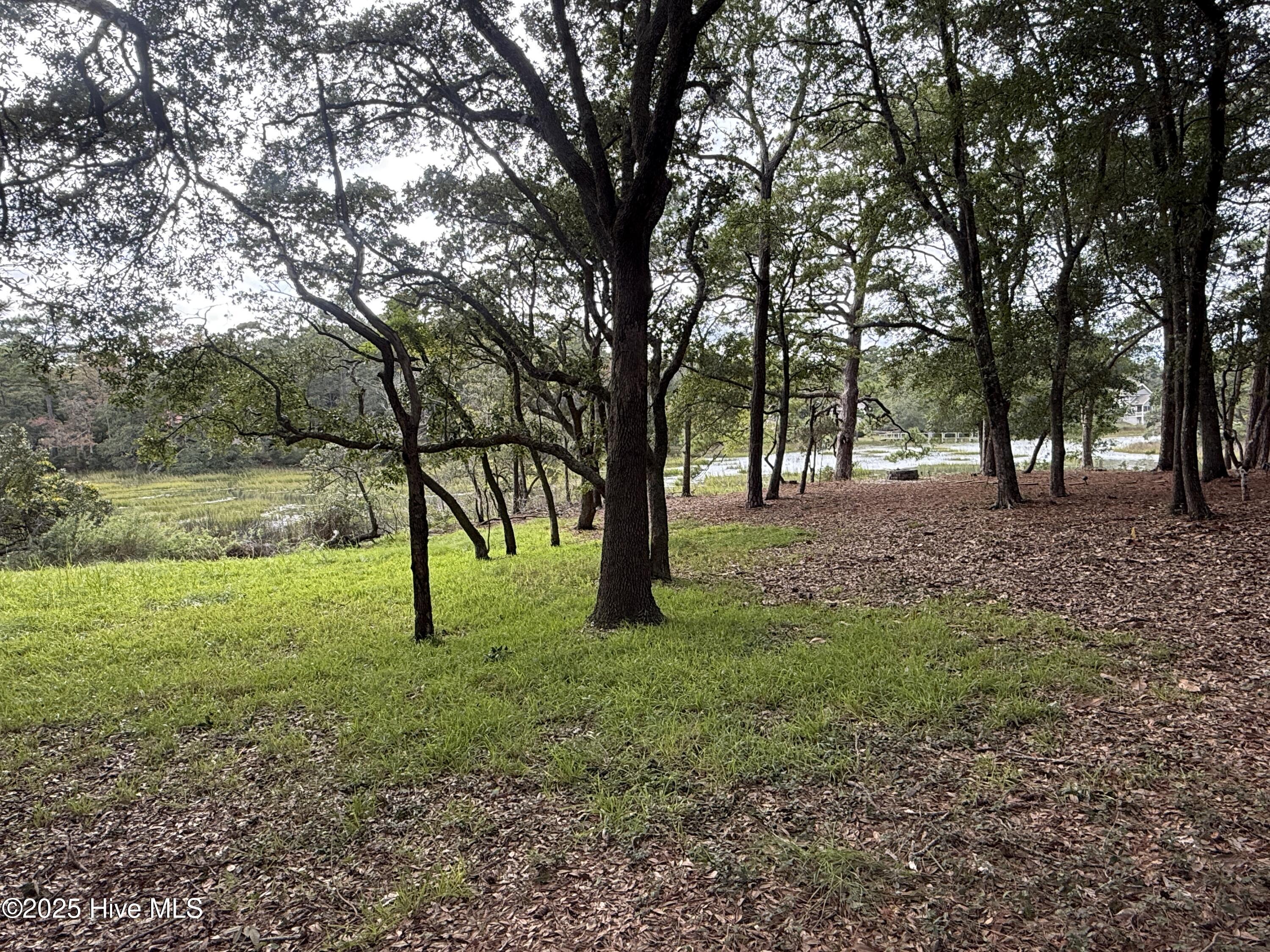 100537718 | Photo 11