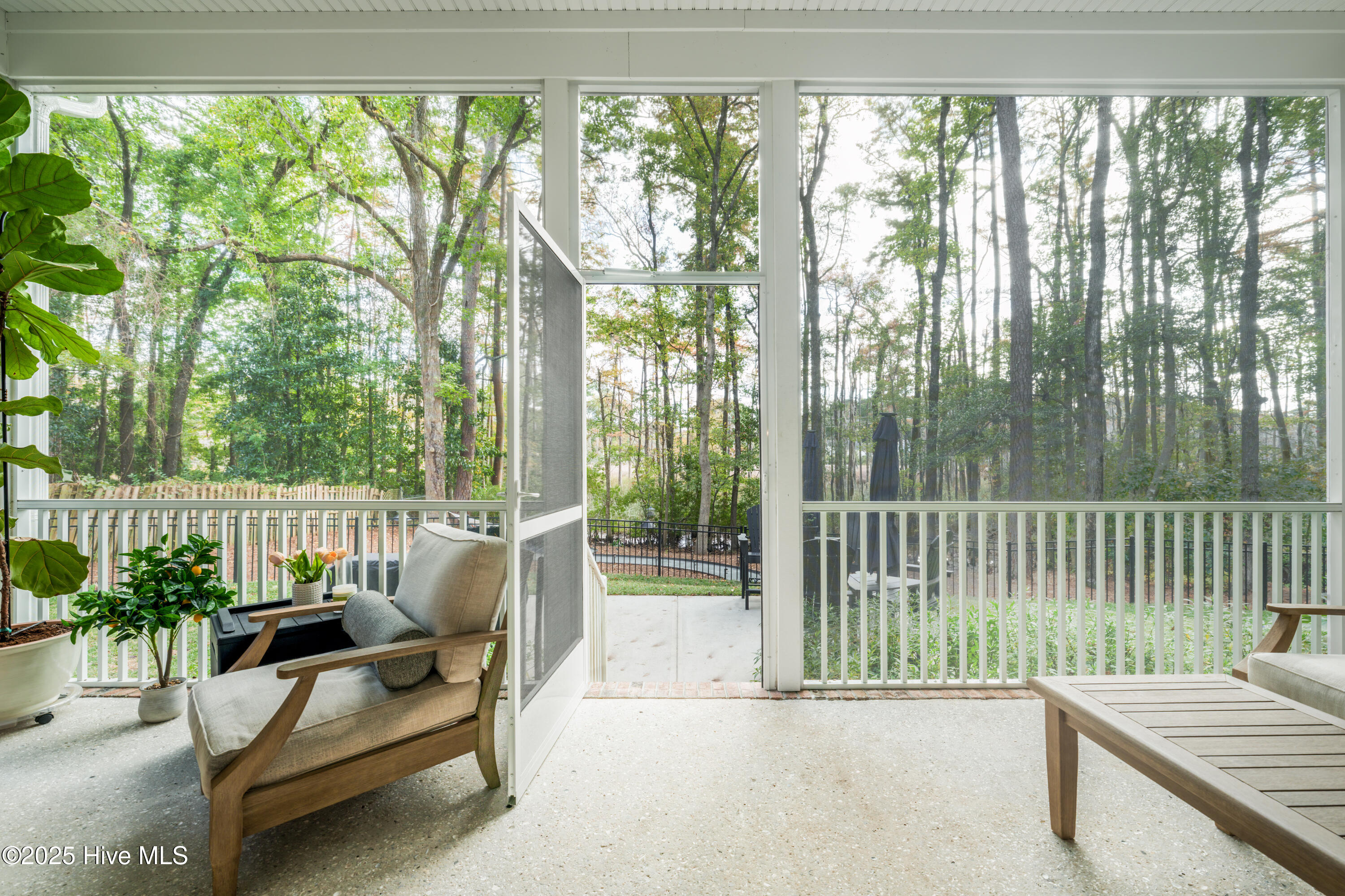 100537850 | Photo 35