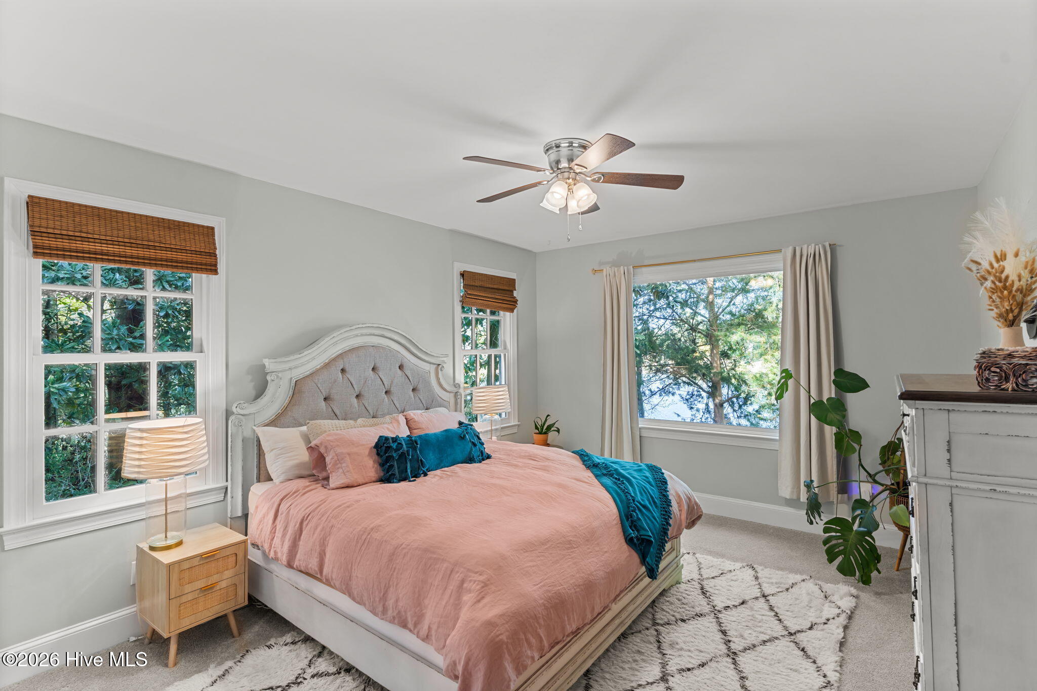 100556874 | Photo 34