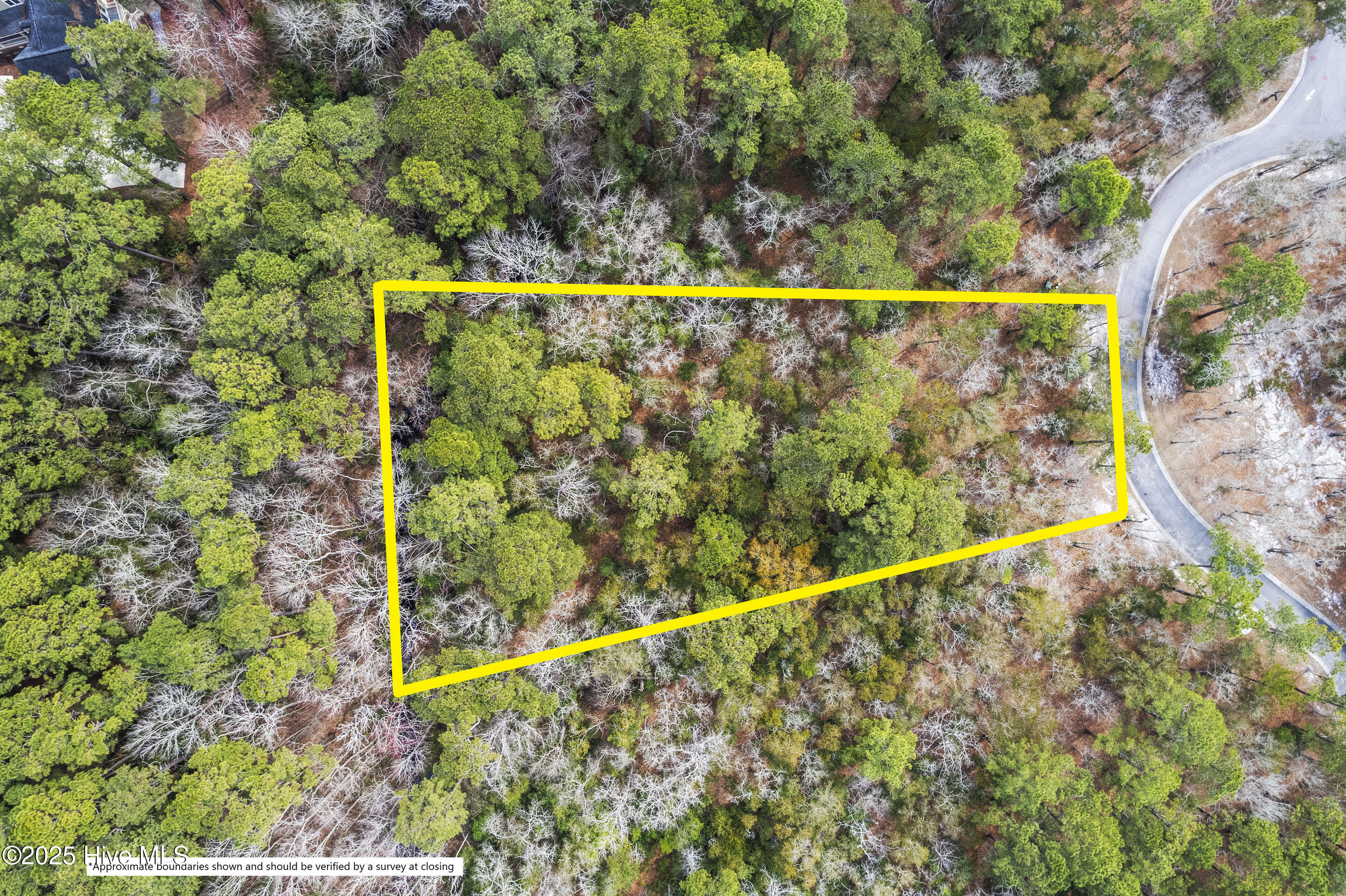 100495133 | Photo 19