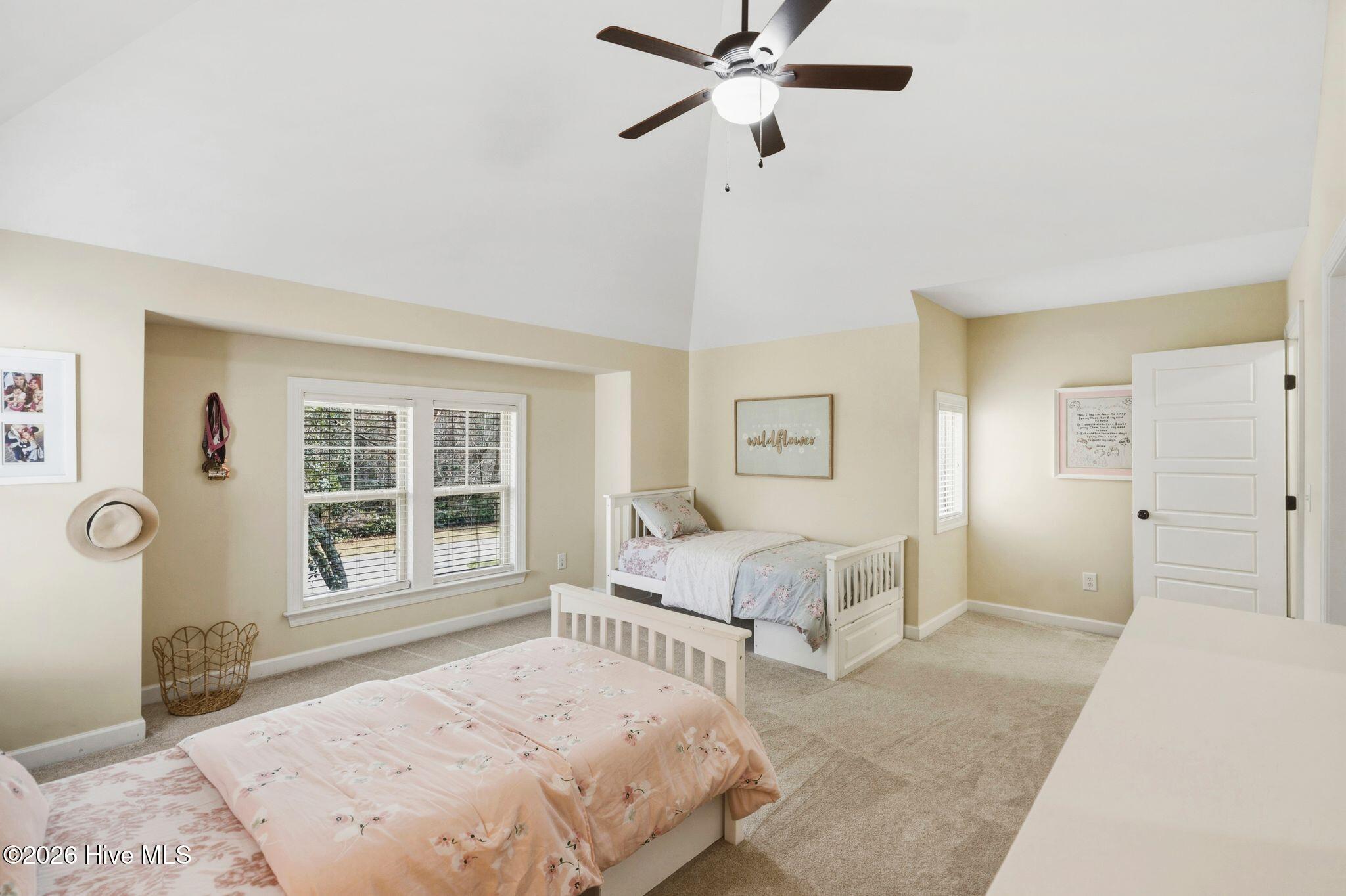 100562110 | Photo 50