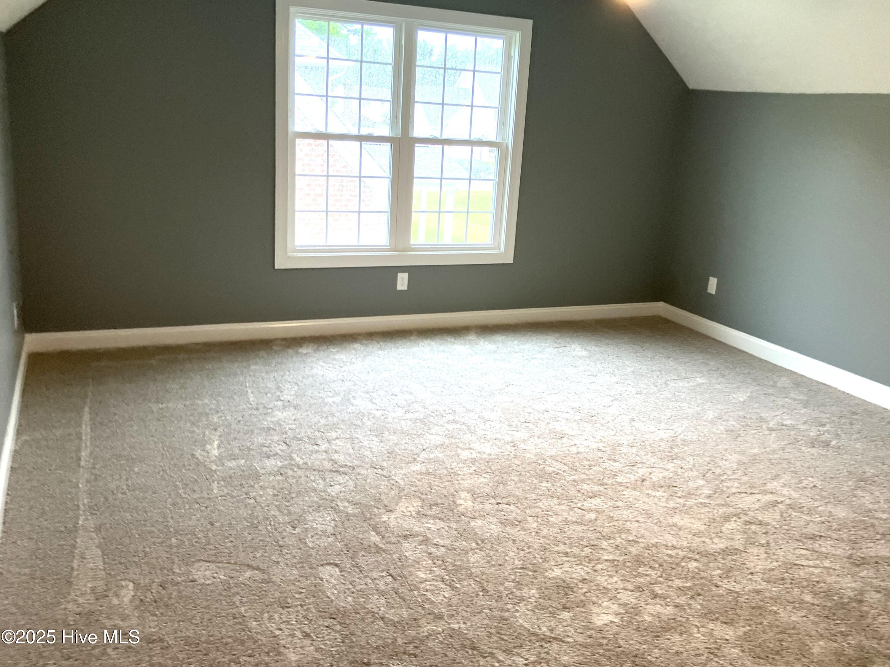 100514159 | Photo 43