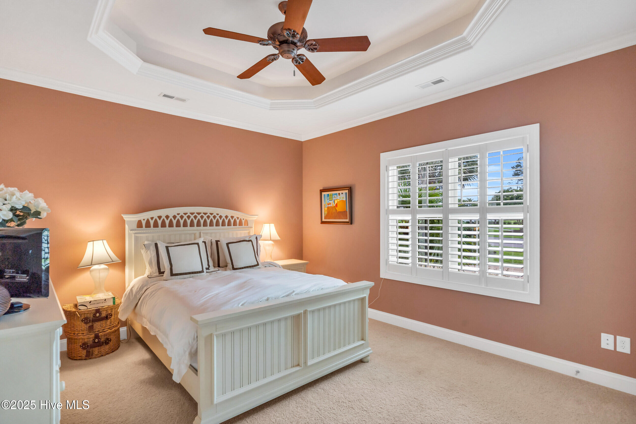 100533496 | Photo 31