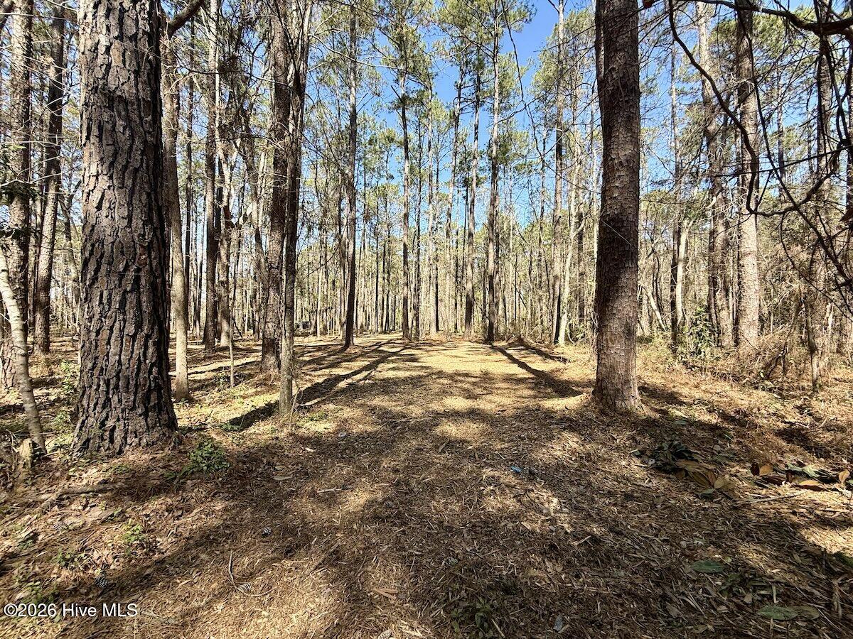 0 Lot 1 Creek Place Road,Arapahoe