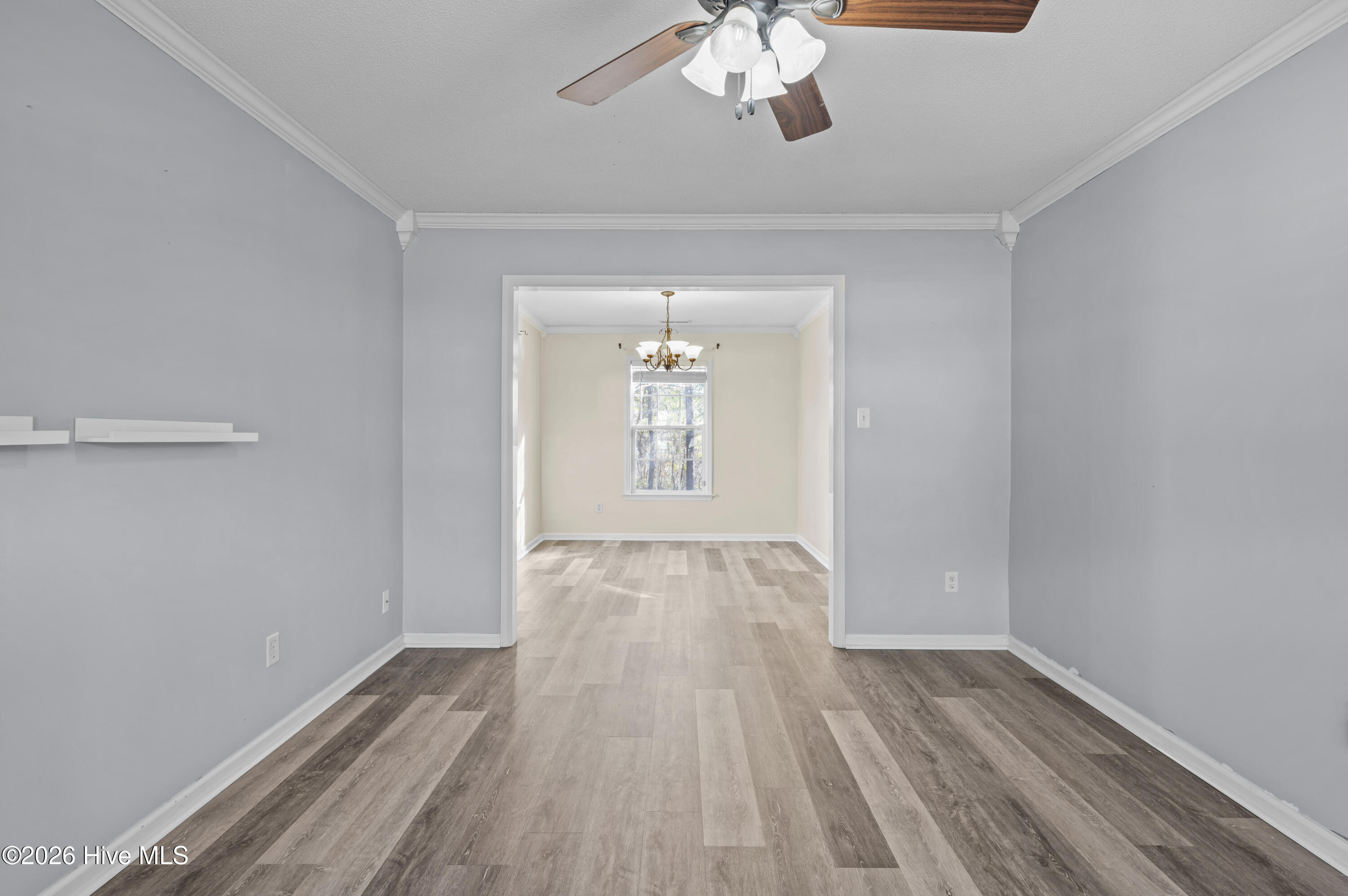 100541595 | Photo 15