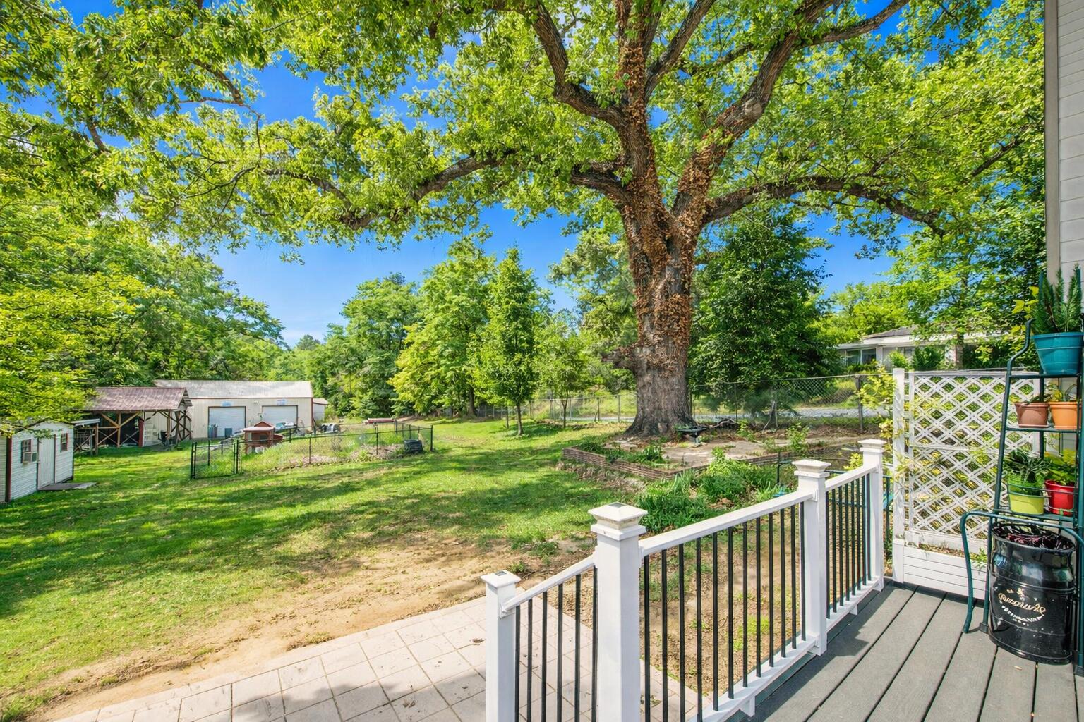 Massive Backyard!