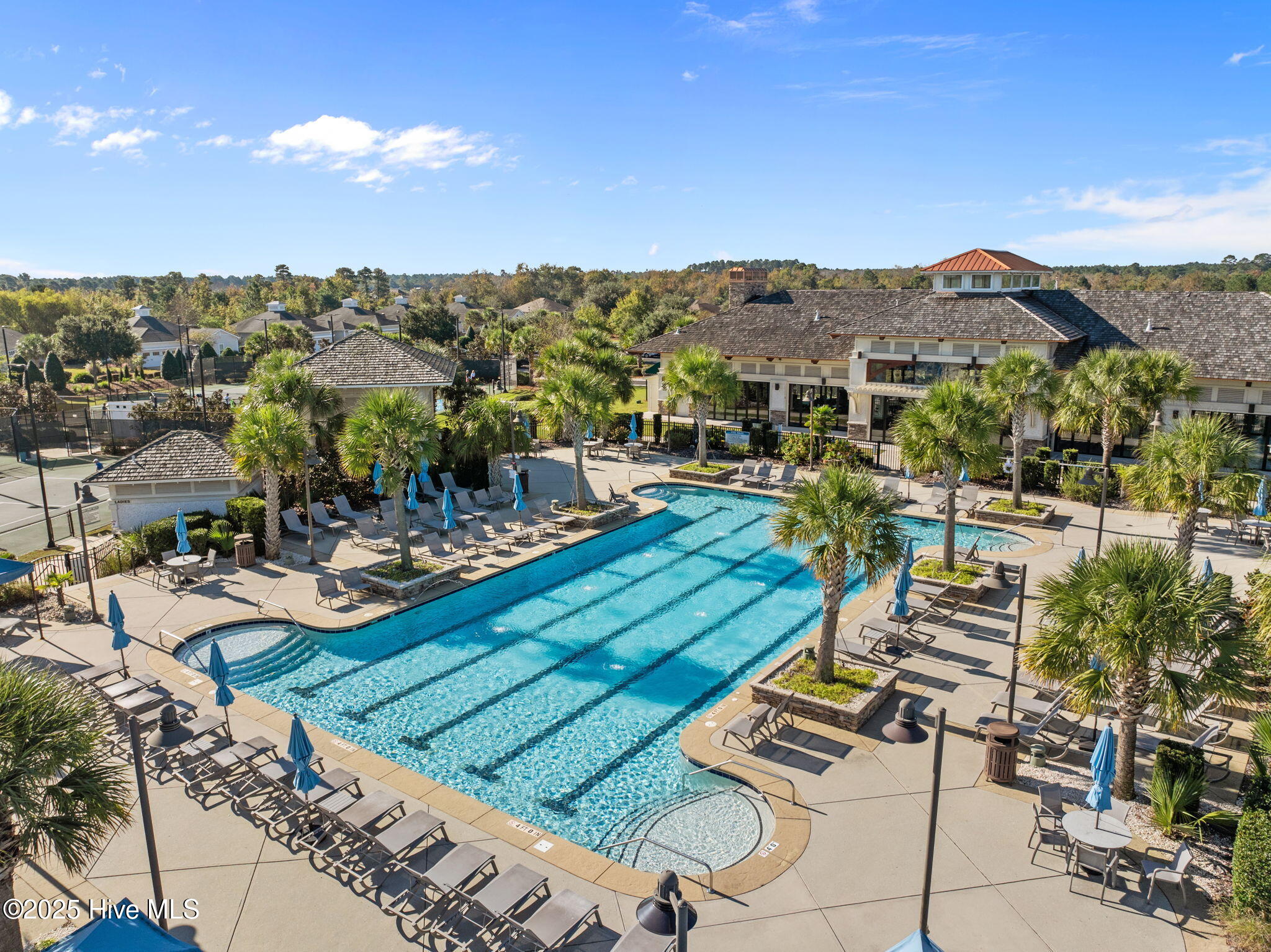 100537659 | Photo 64