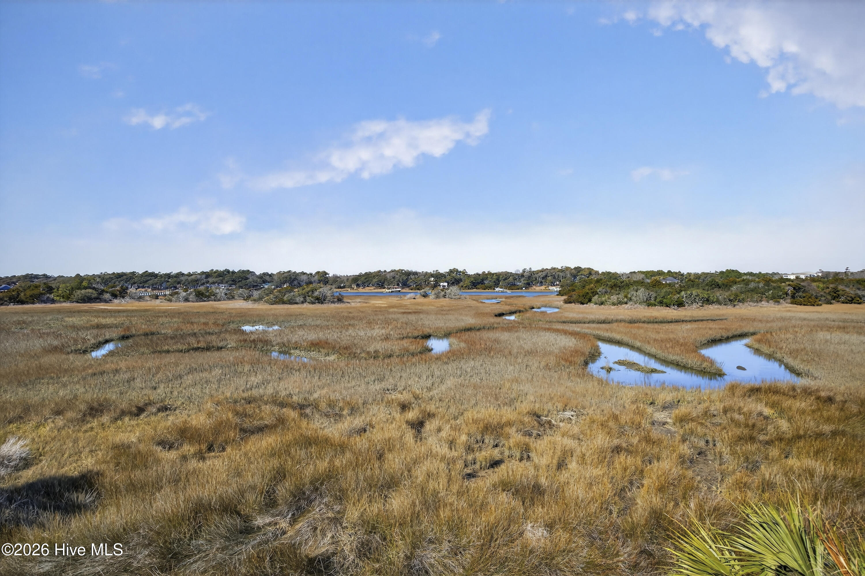 100554981 | Photo 20