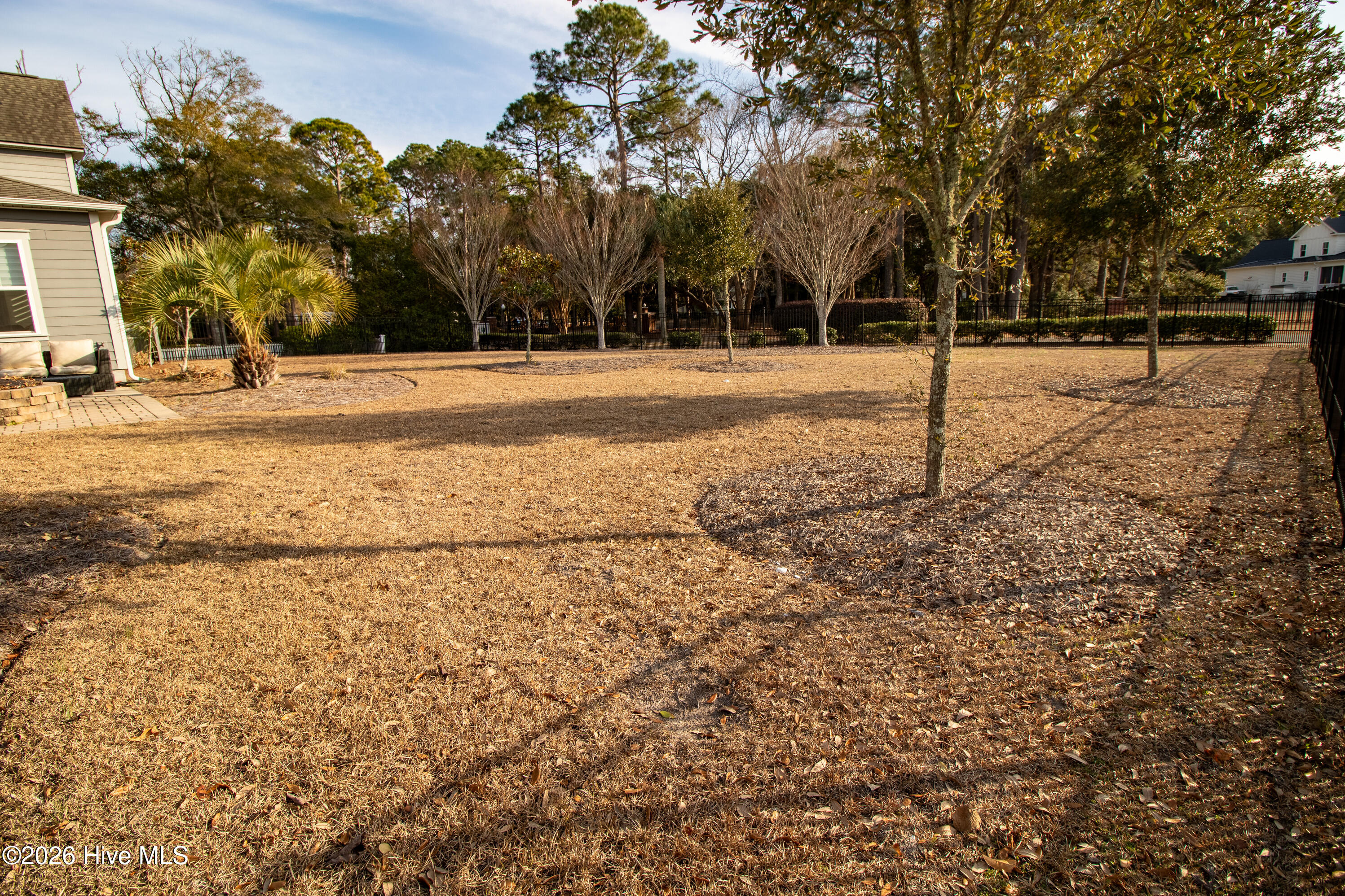 100552497 | Photo 51