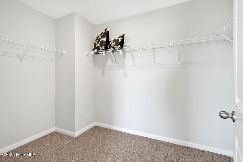 100535563 | Photo 18