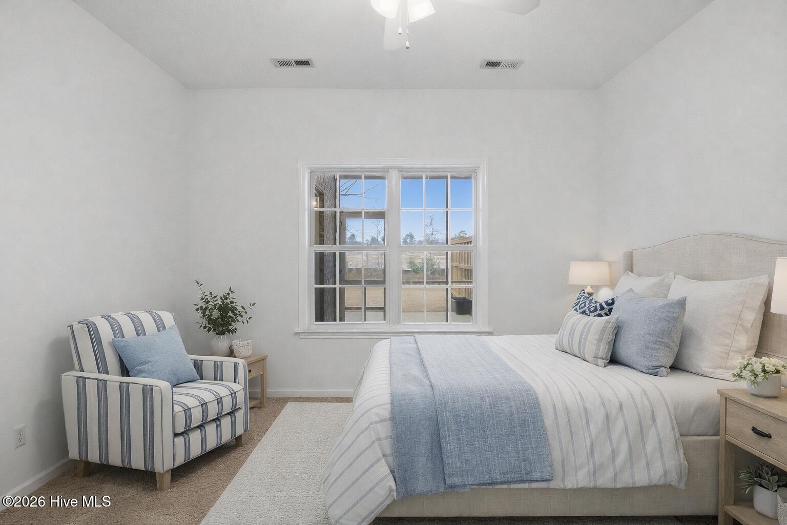 100554409 | Photo 23