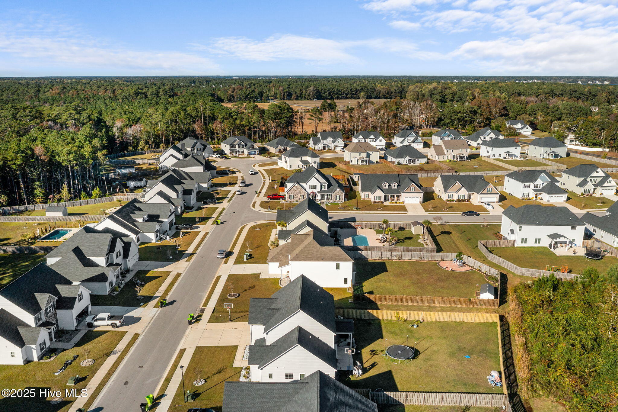 100539073 | Photo 52