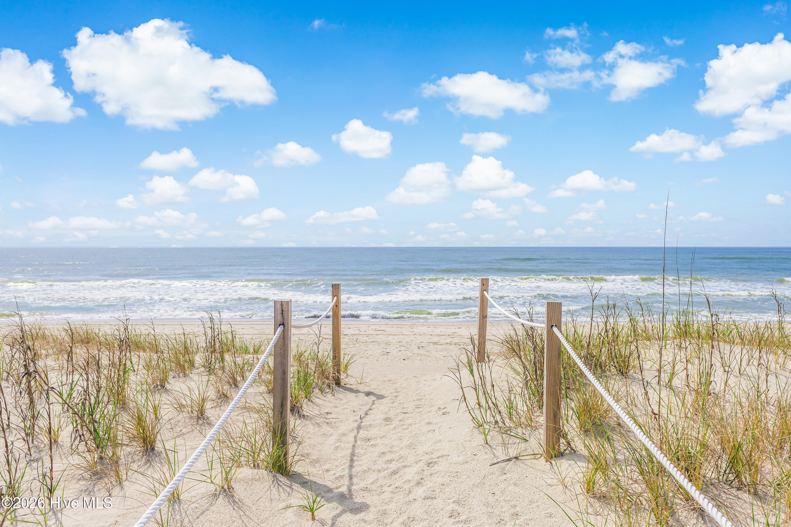 100553168 | Photo 39