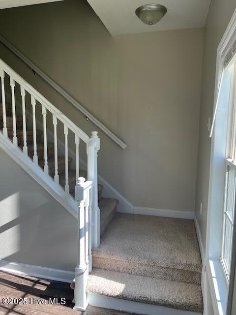 100537442 | Photo 14