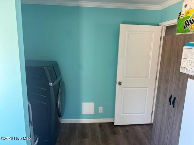 100555243 | Photo 55