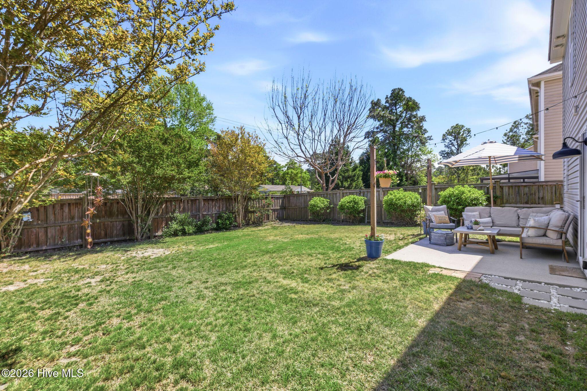 100566118 | Photo 53