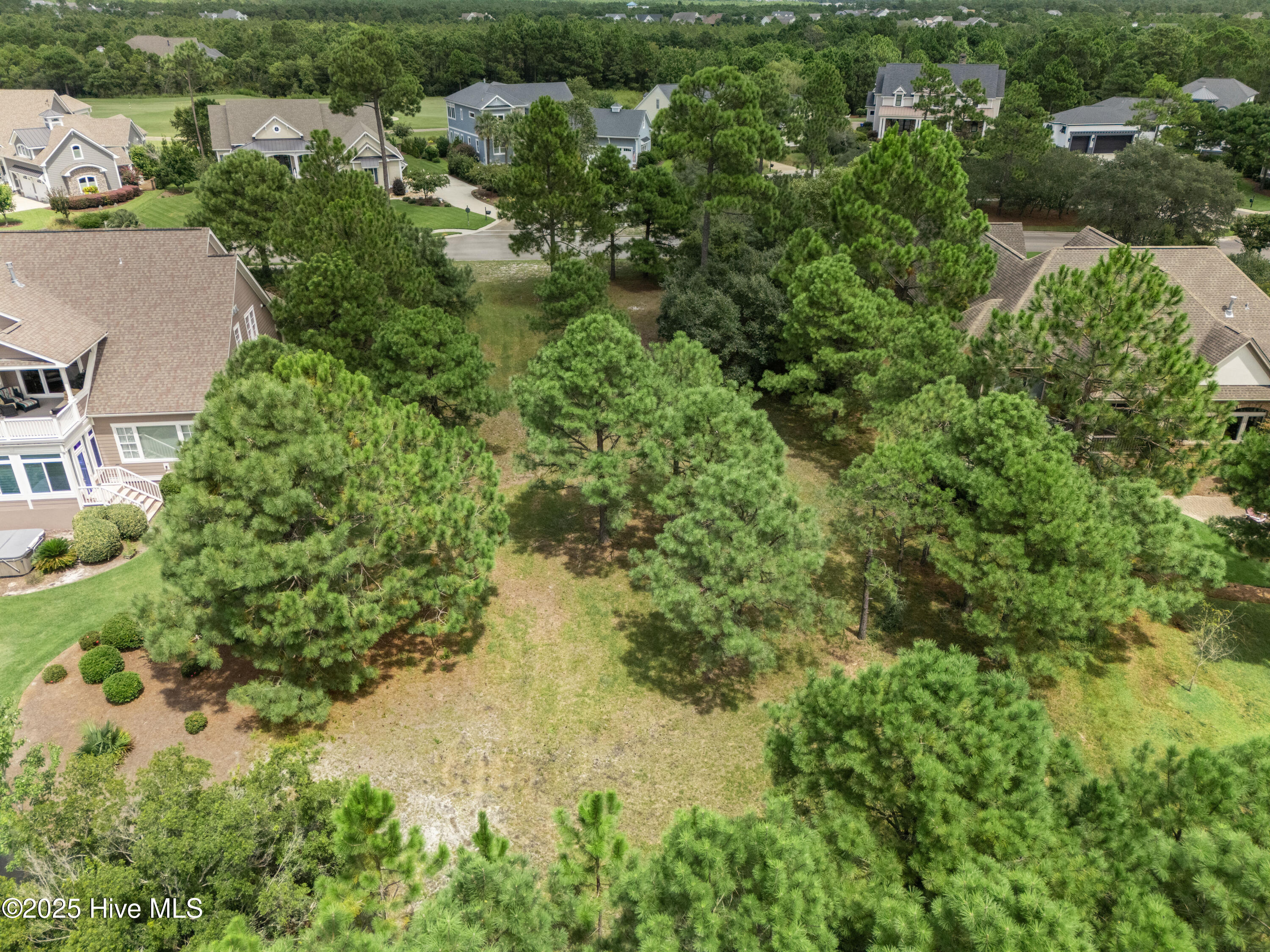 100569790 | Photo 25