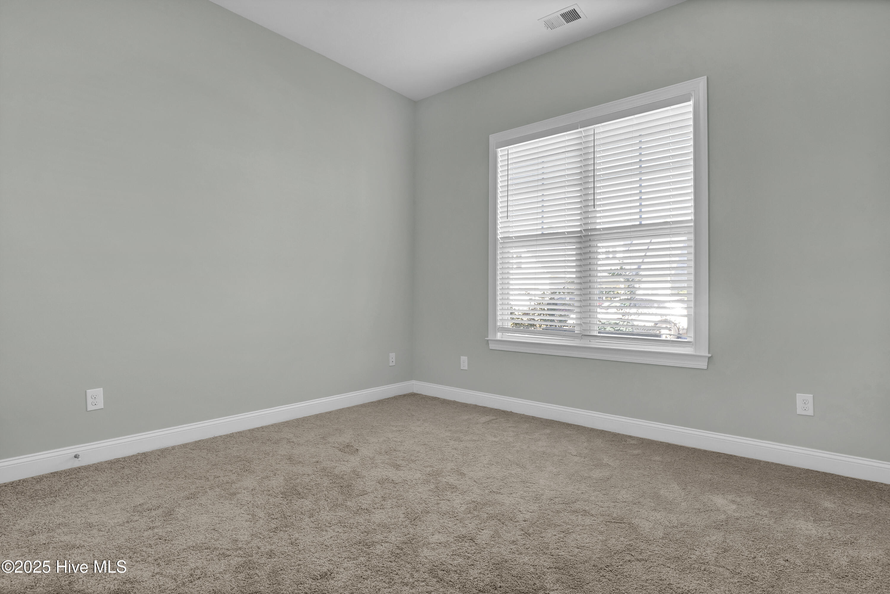 100534693 | Photo 18